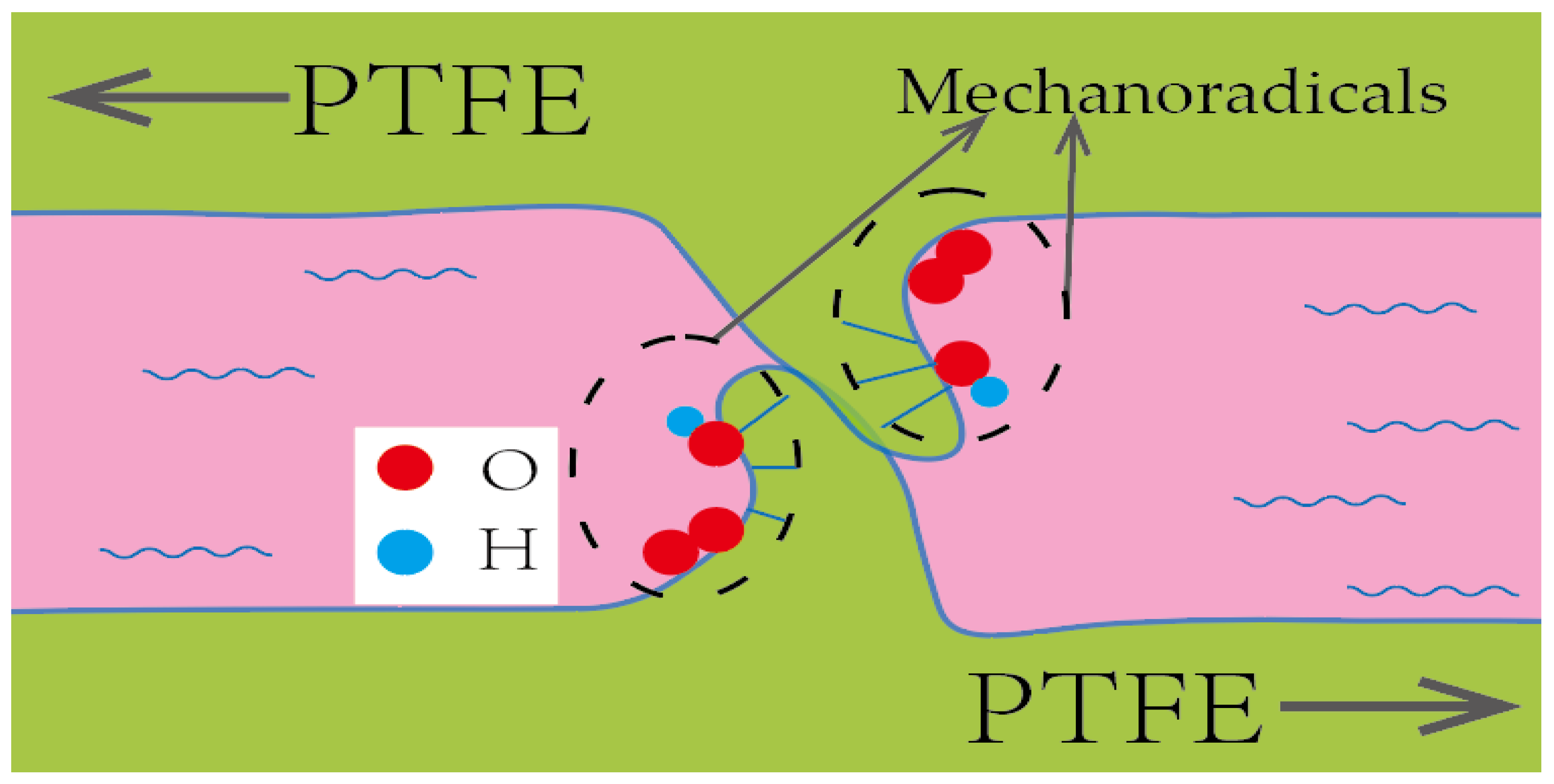 Catalysts 15 00754 g005