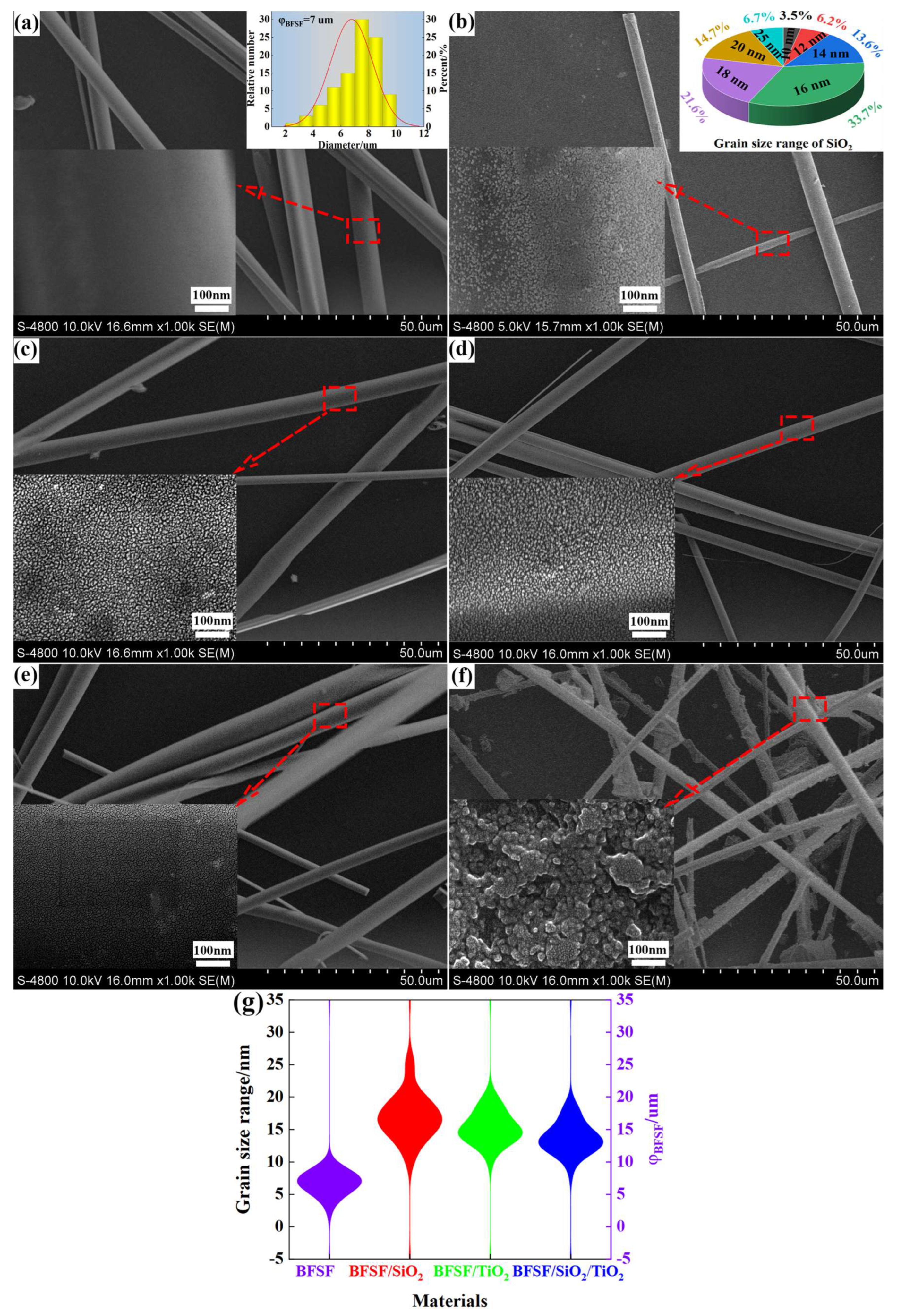 Catalysts 15 00755 g003a Catalysts 15 00755 g003a