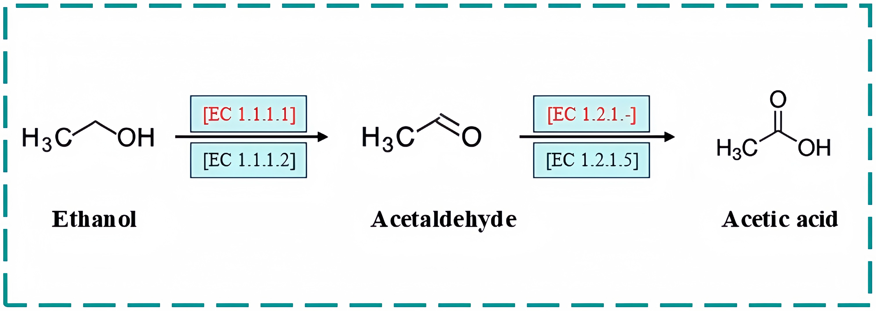 Catalysts 15 00756 g005