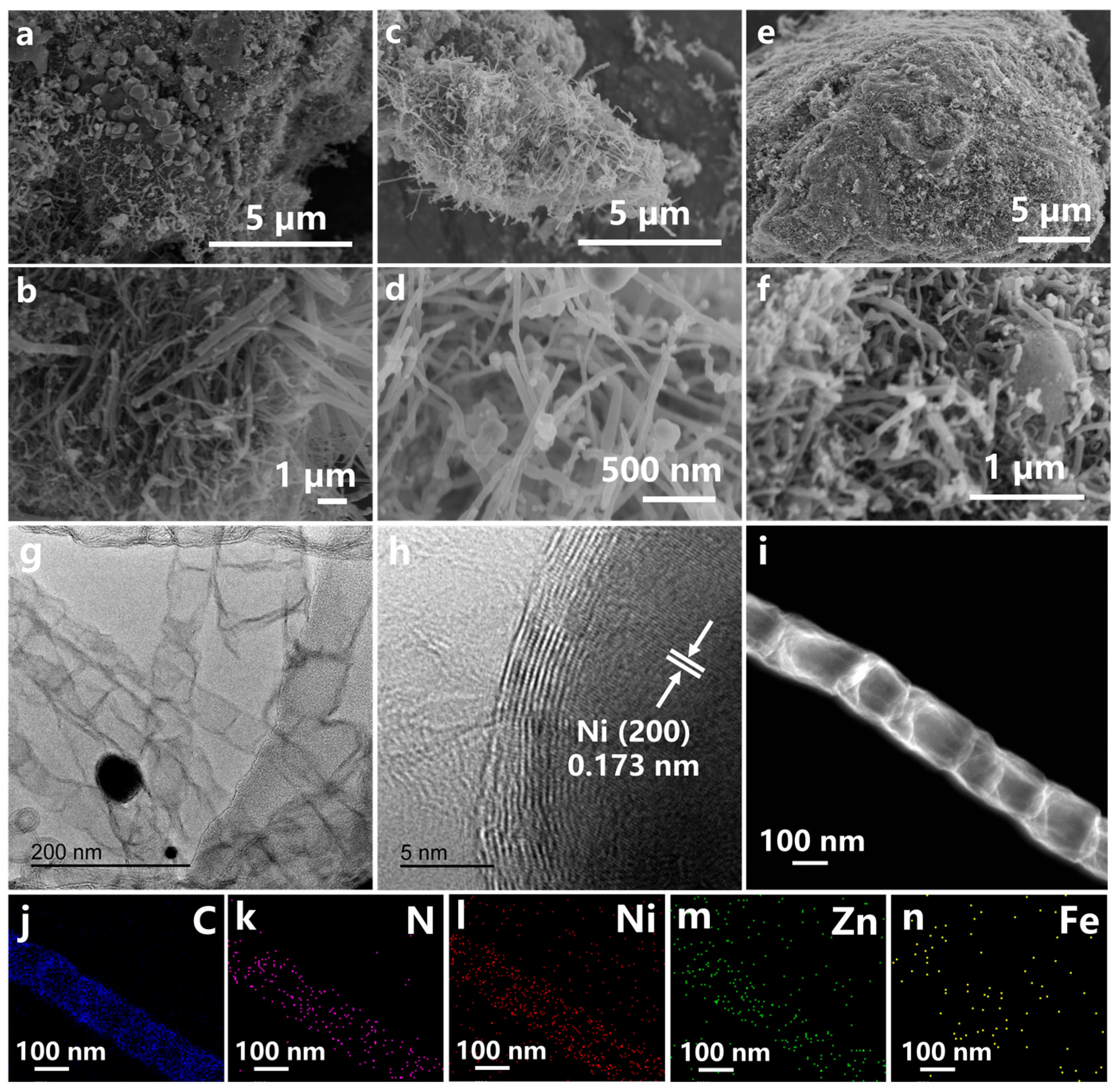 Catalysts 15 00758 g002