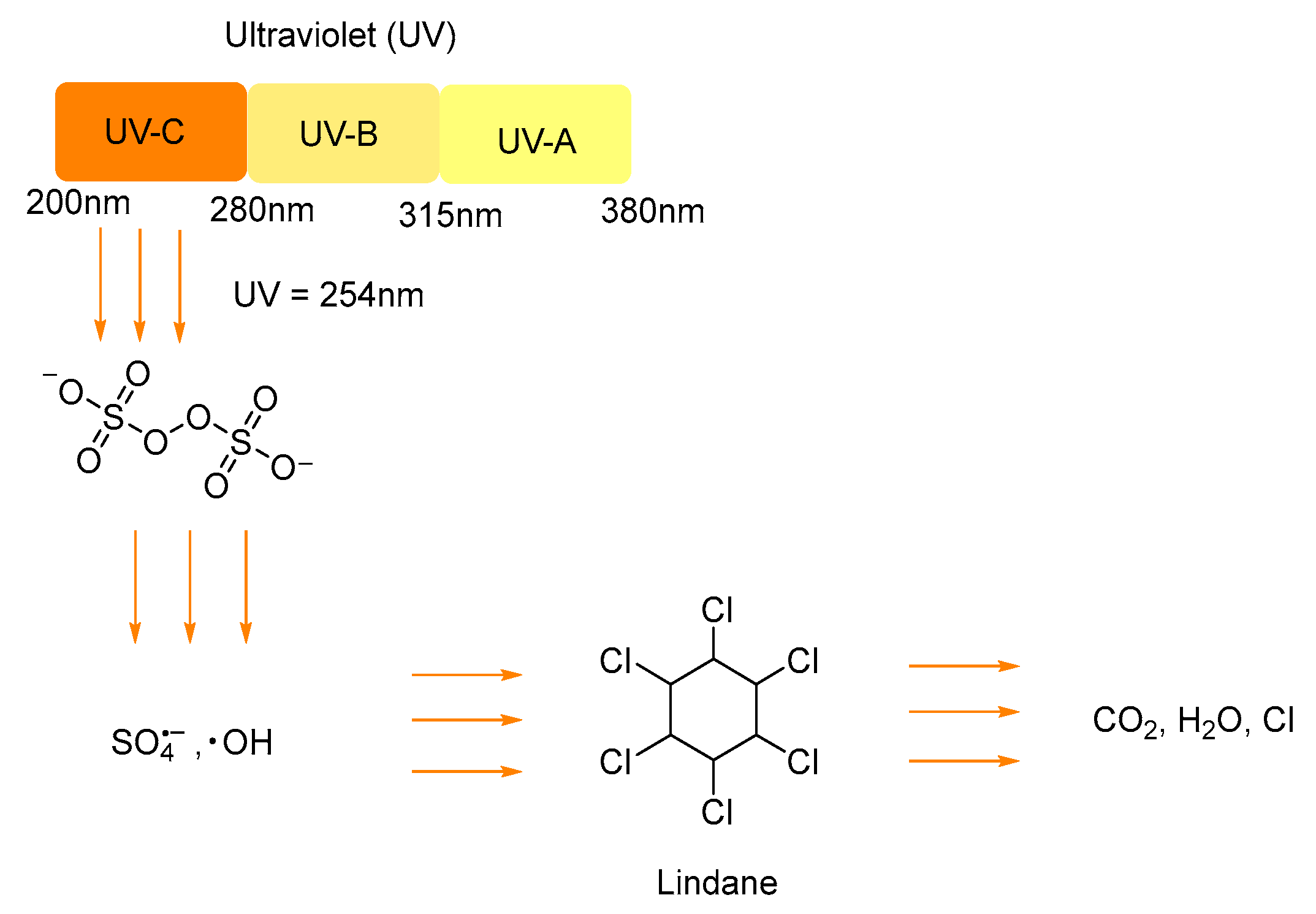Catalysts 15 00761 g013 Catalysts 15 00761 g013