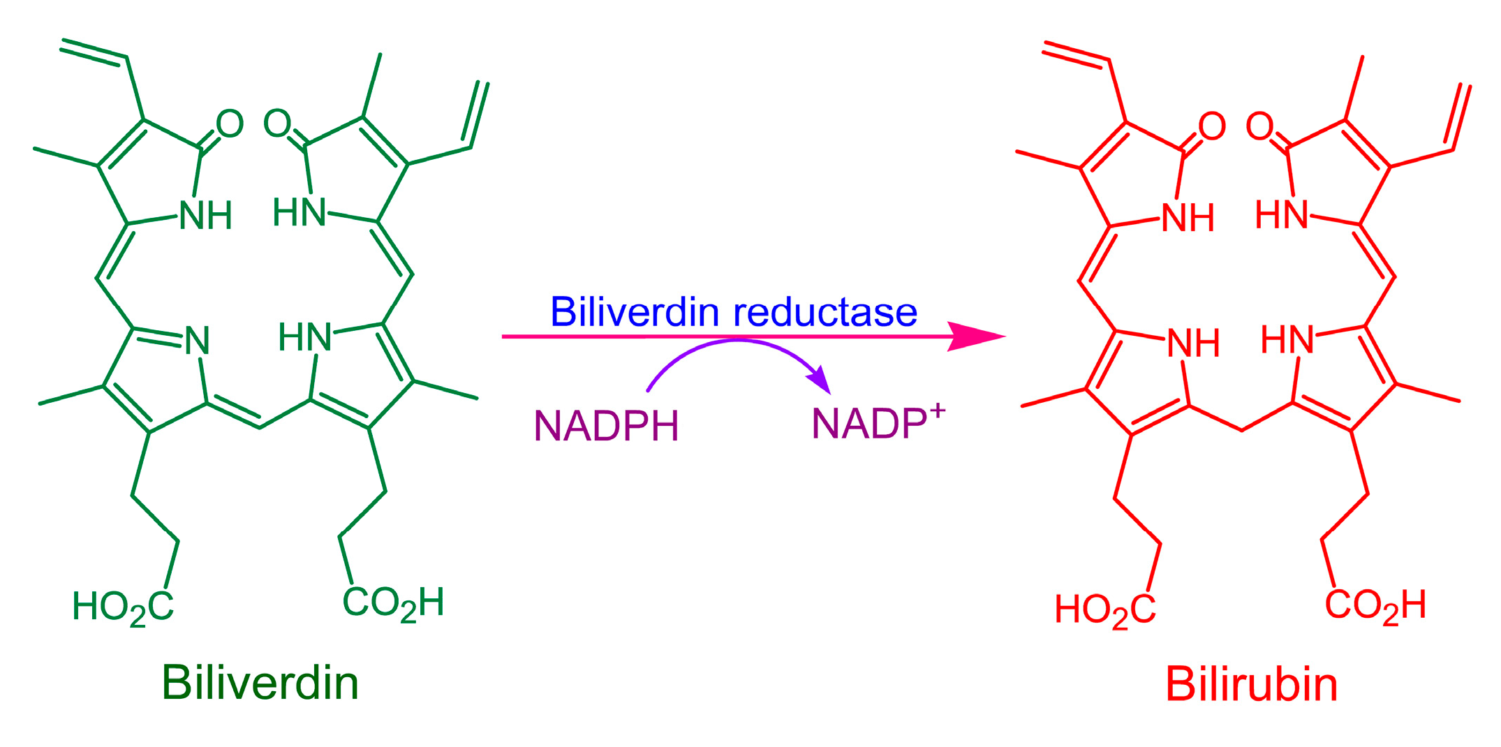 Catalysts 15 00766 g001