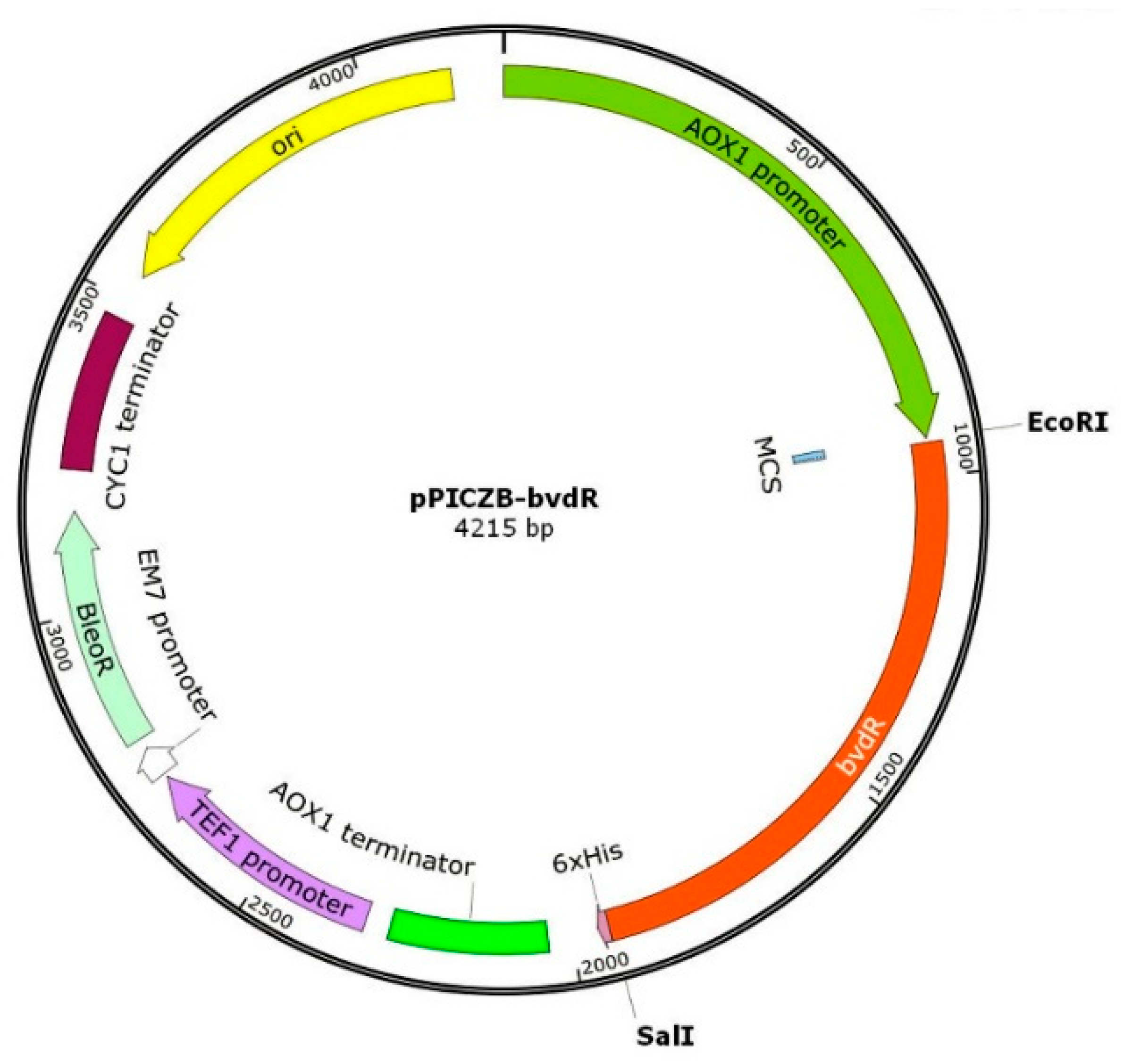 Catalysts 15 00766 g009