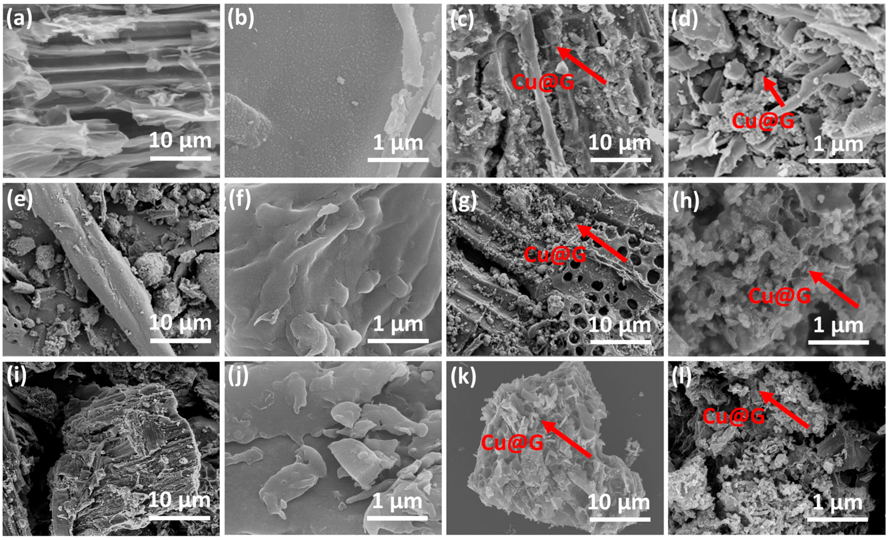Catalysts 15 00767 g003