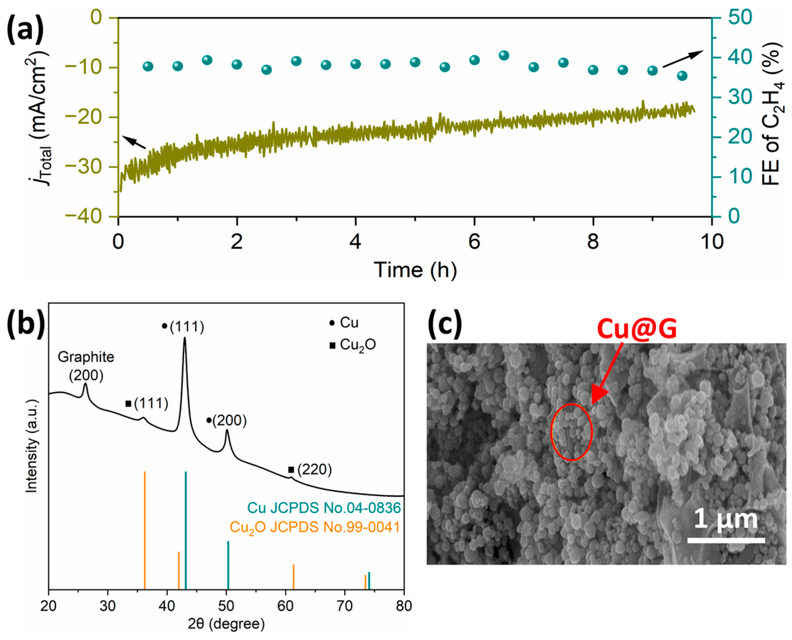 Catalysts 15 00767 g007