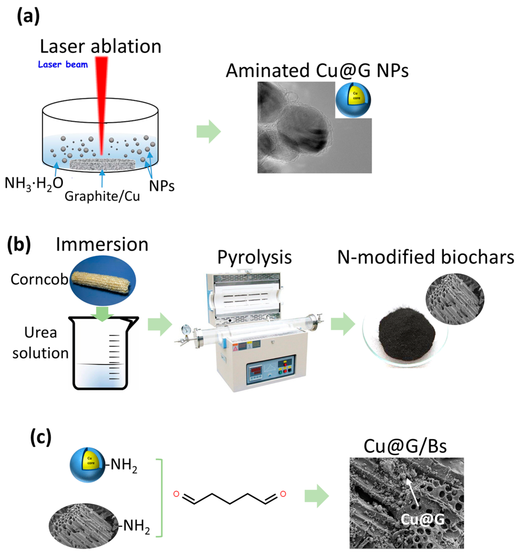 Catalysts 15 00767 g008