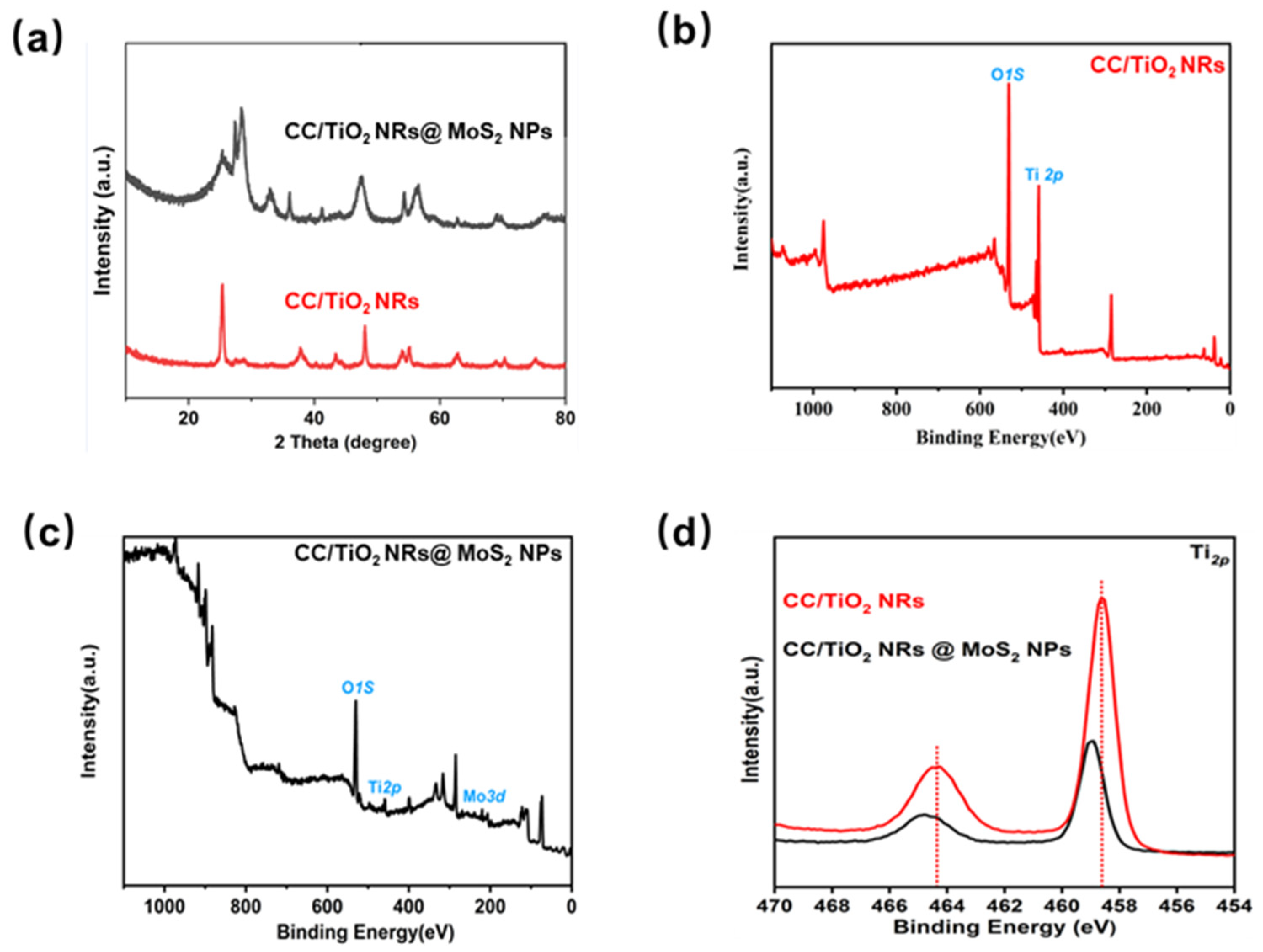 Catalysts 15 00769 g002 Catalysts 15 00769 g002