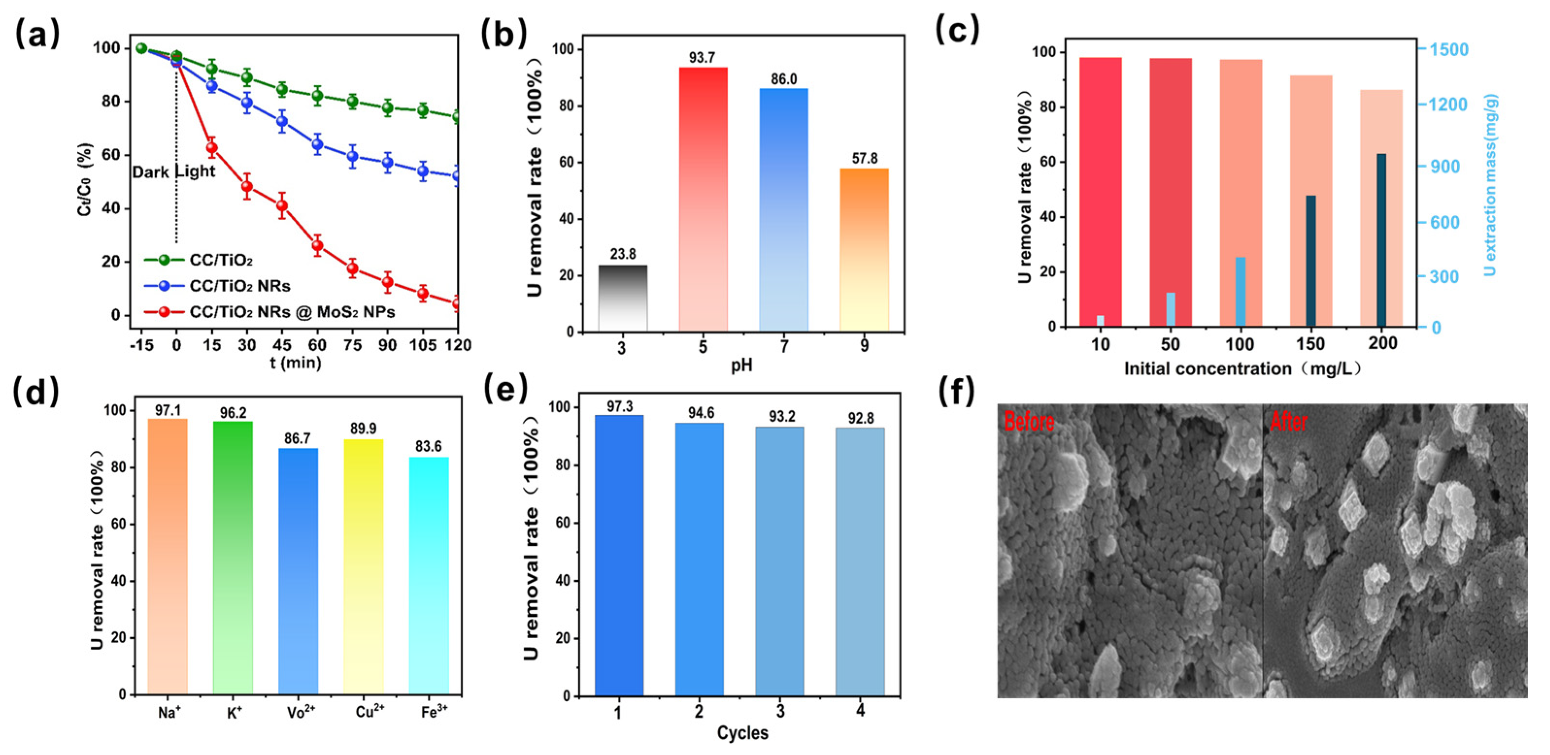 Catalysts 15 00769 g004 Catalysts 15 00769 g004