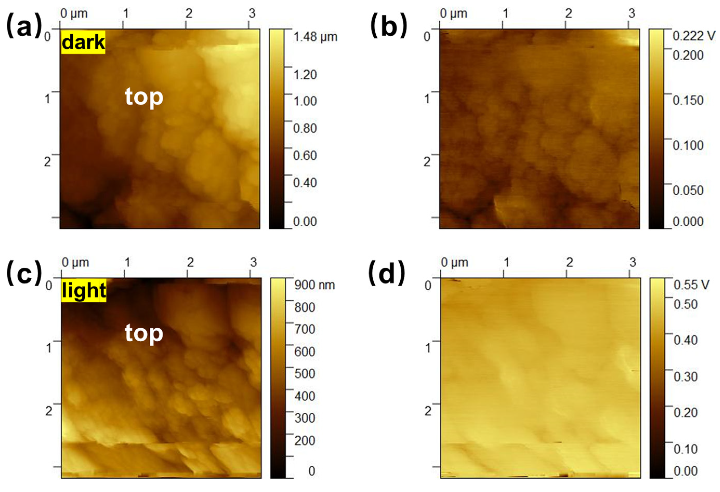 Catalysts 15 00769 g005 Catalysts 15 00769 g005