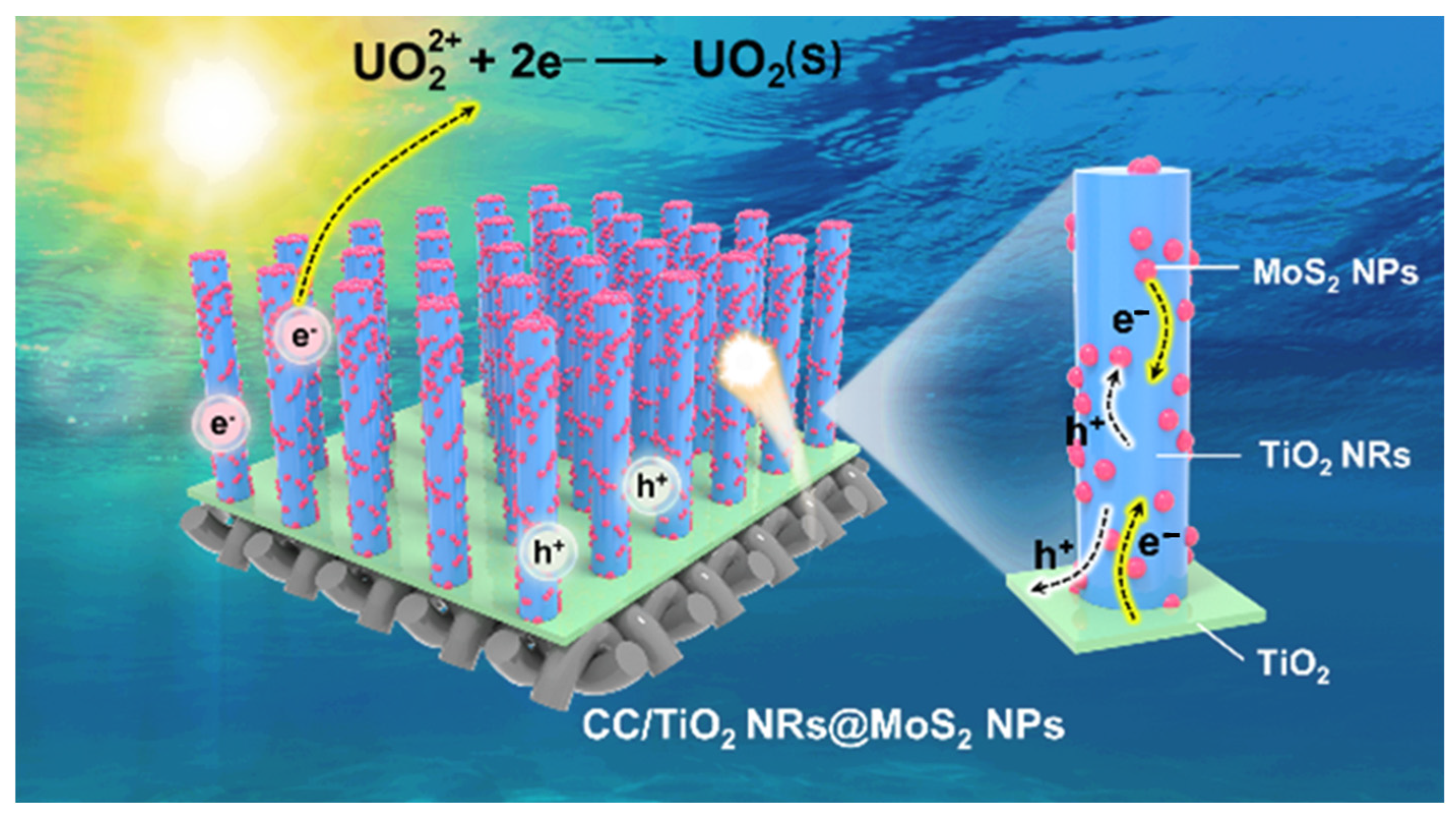 Catalysts 15 00769 g006 Catalysts 15 00769 g006