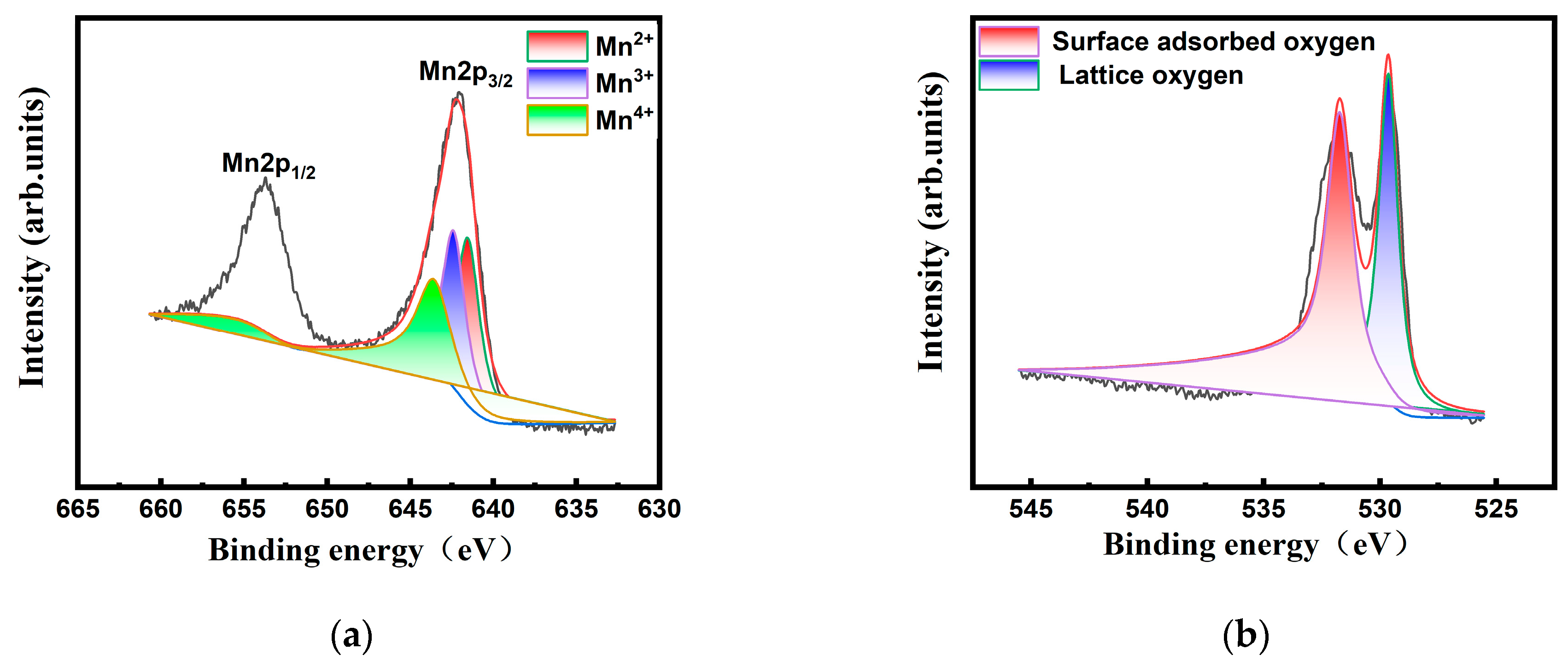 Catalysts 15 00774 g003a