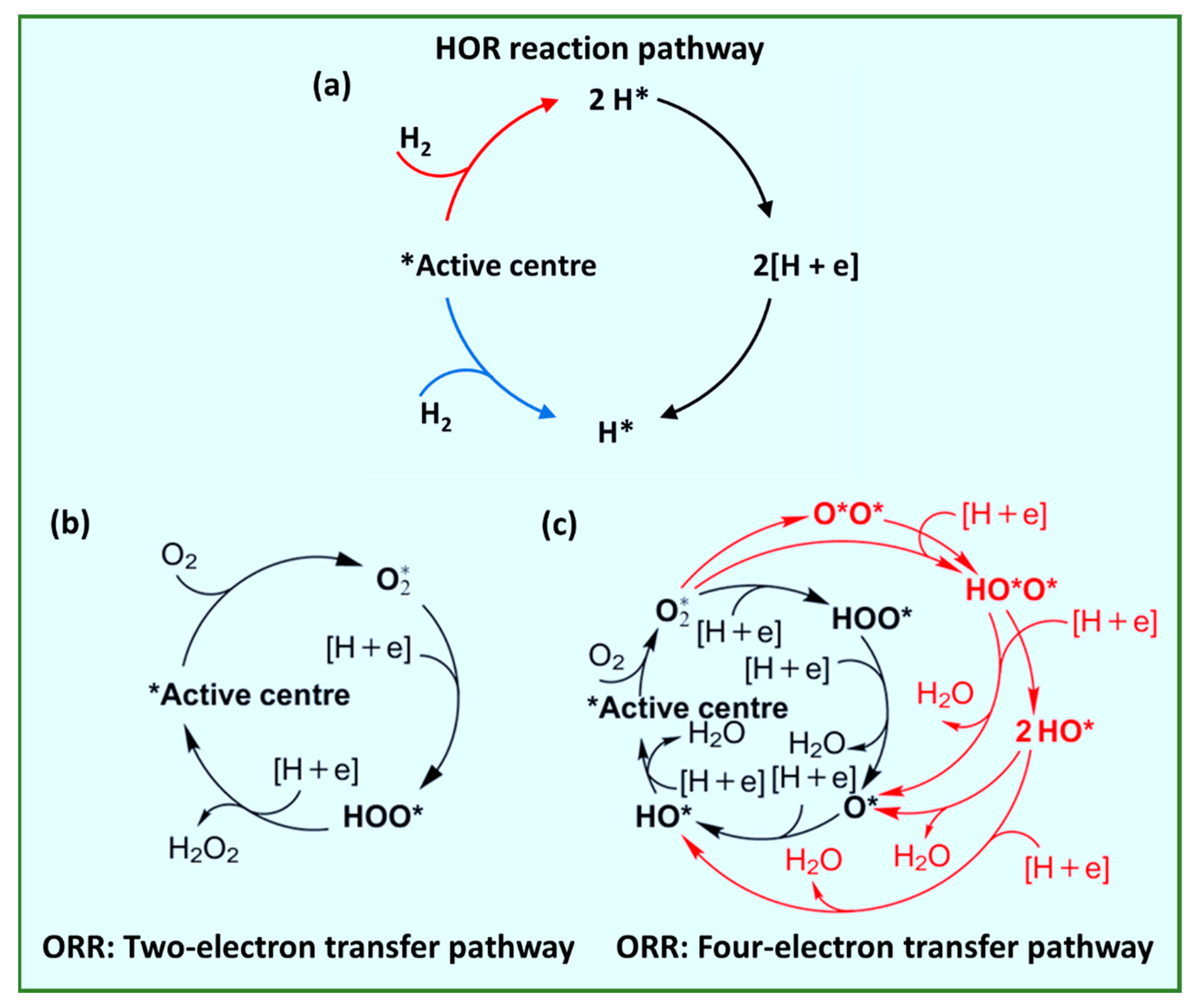 Catalysts 15 00775 g004