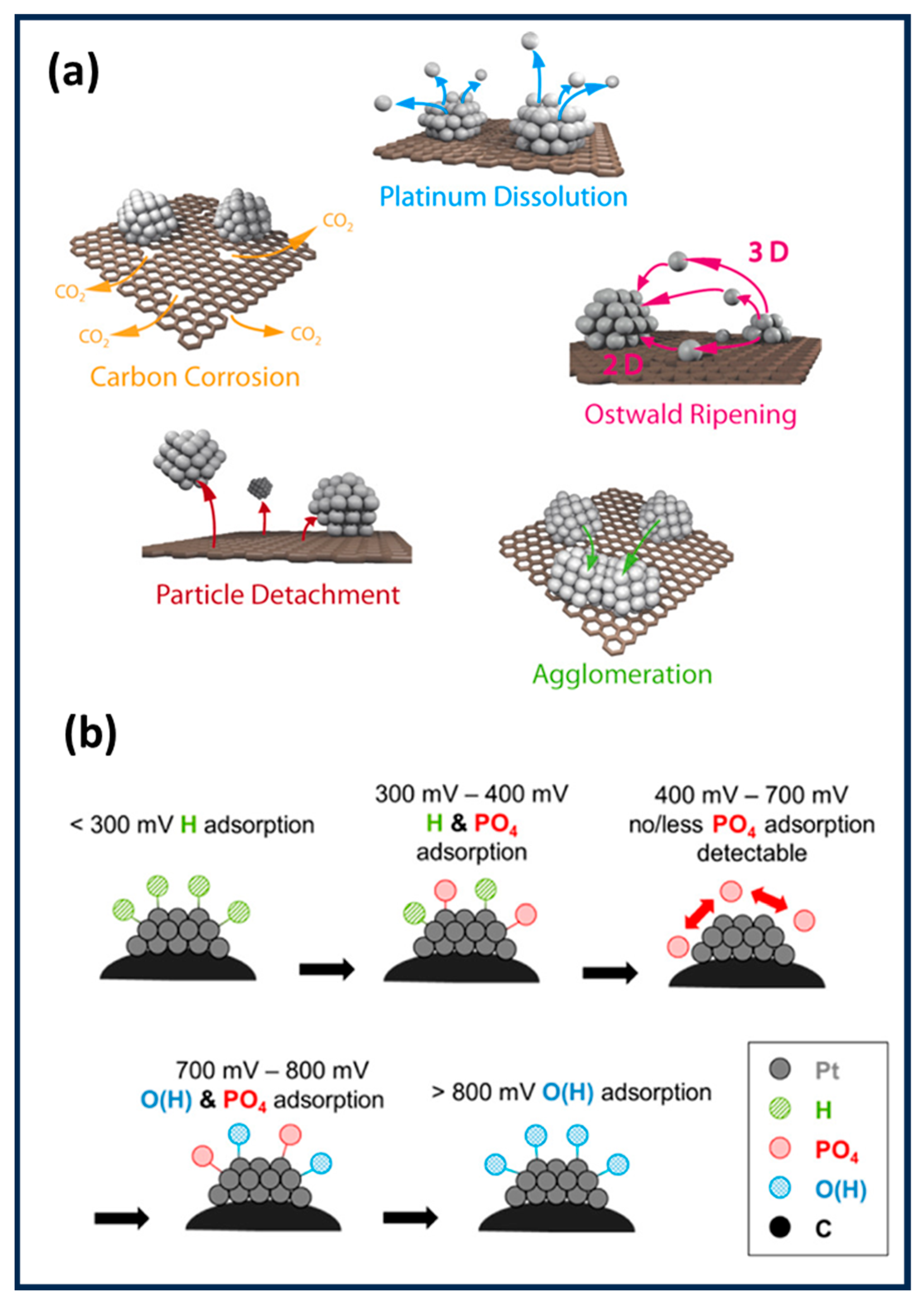 Catalysts 15 00775 g005