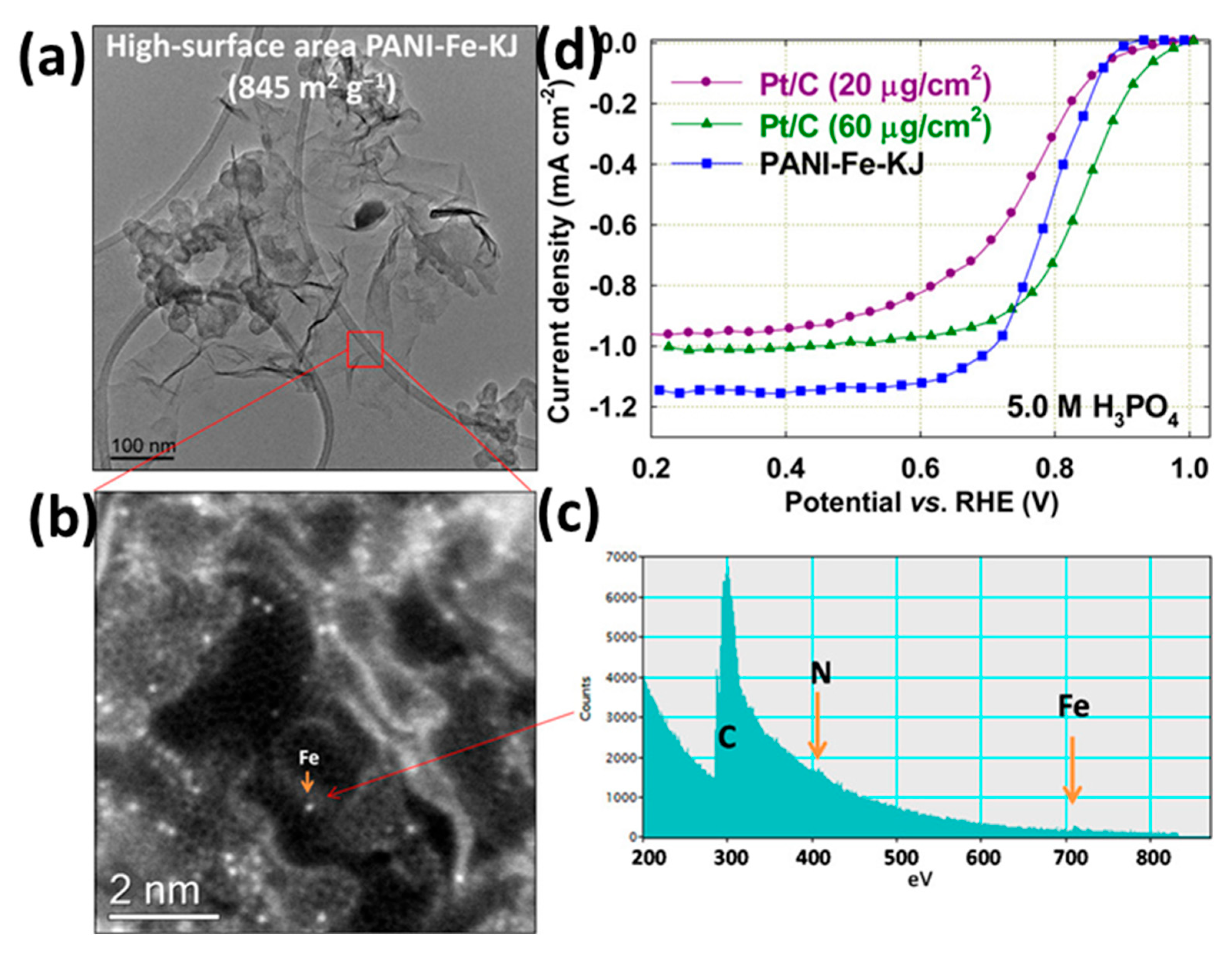 Catalysts 15 00775 g007