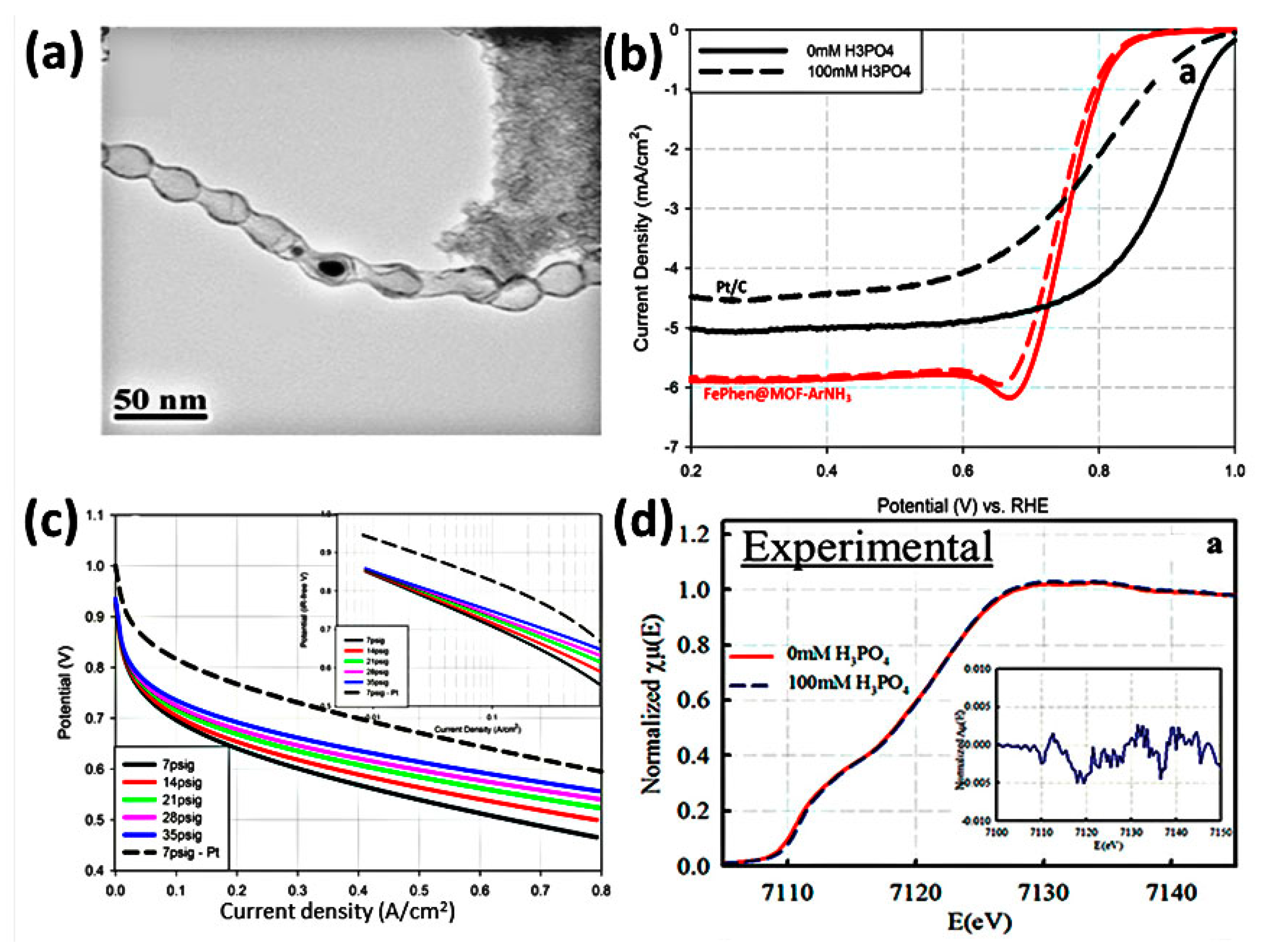 Catalysts 15 00775 g009