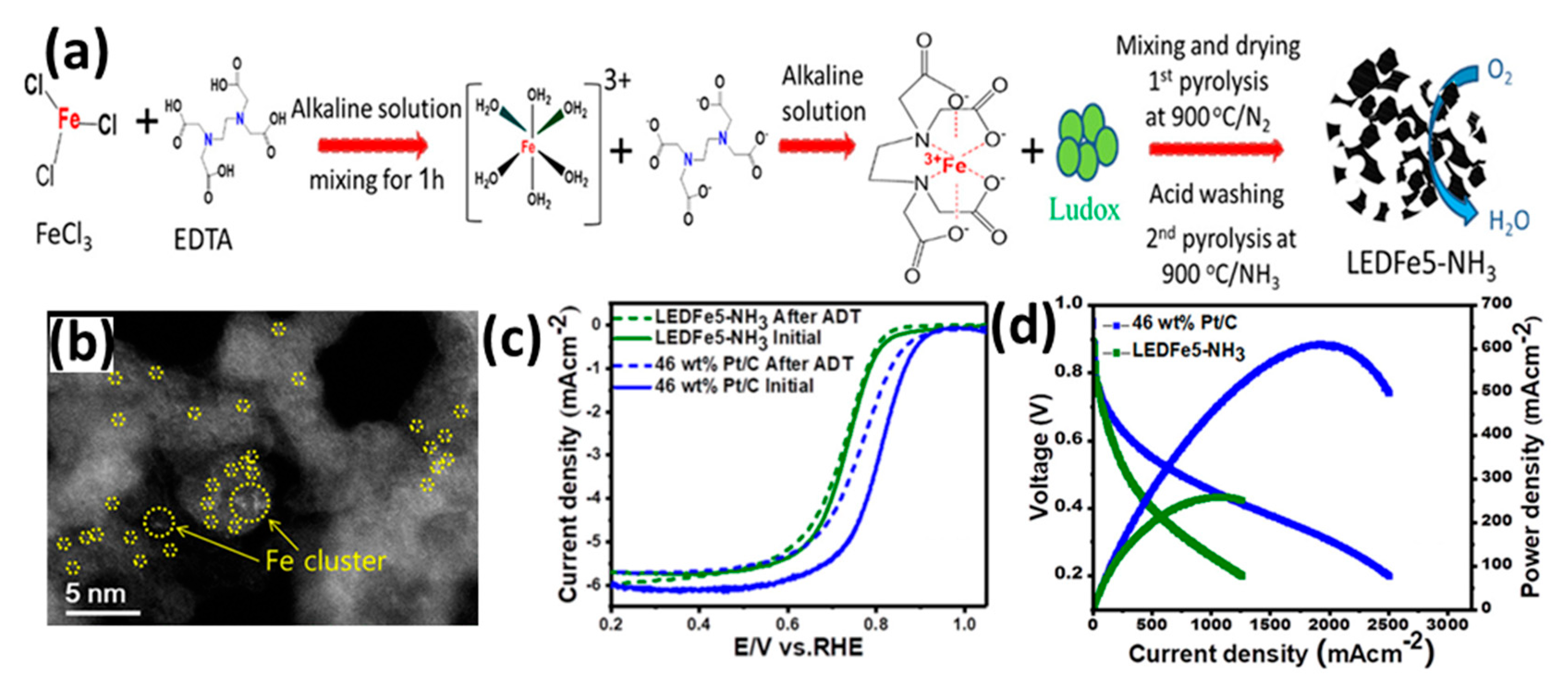 Catalysts 15 00775 g010