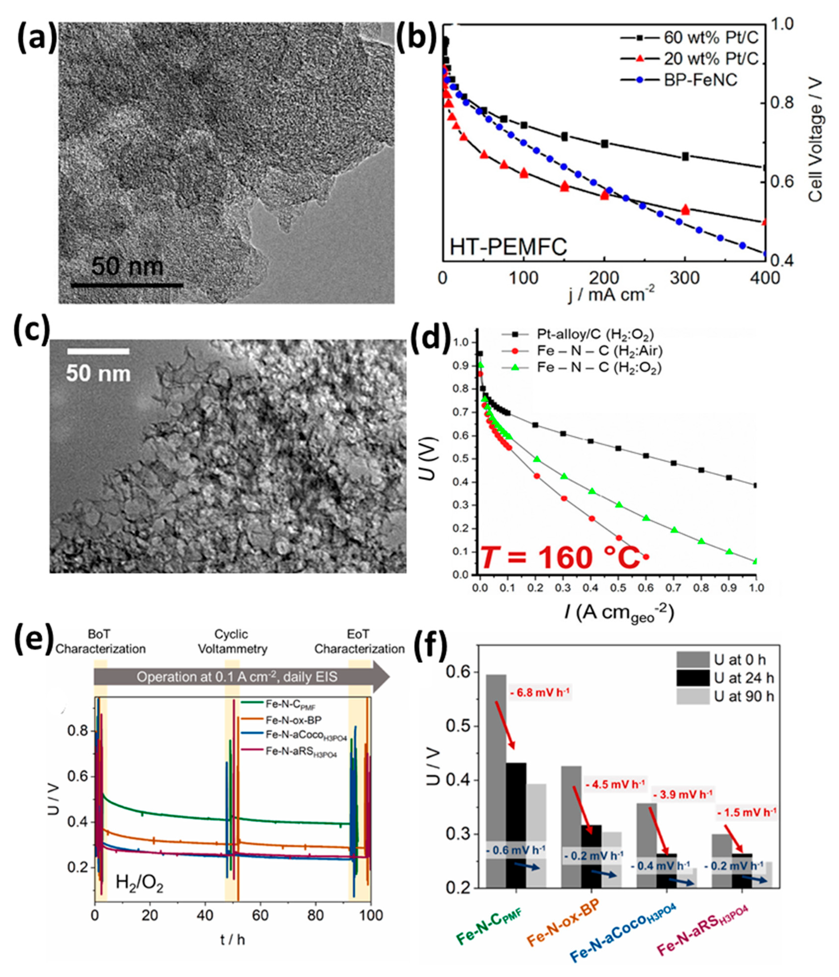 Catalysts 15 00775 g011