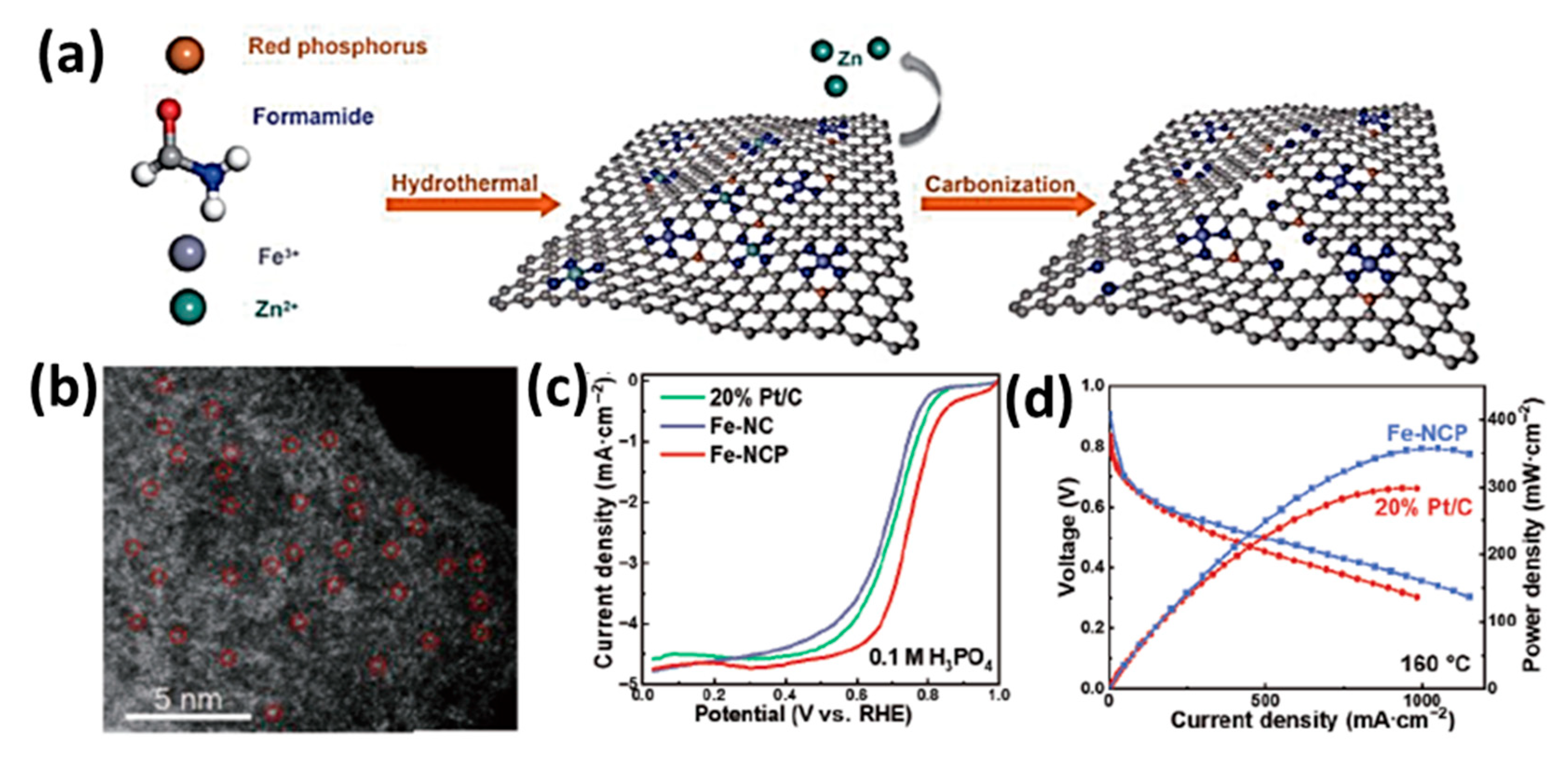 Catalysts 15 00775 g013