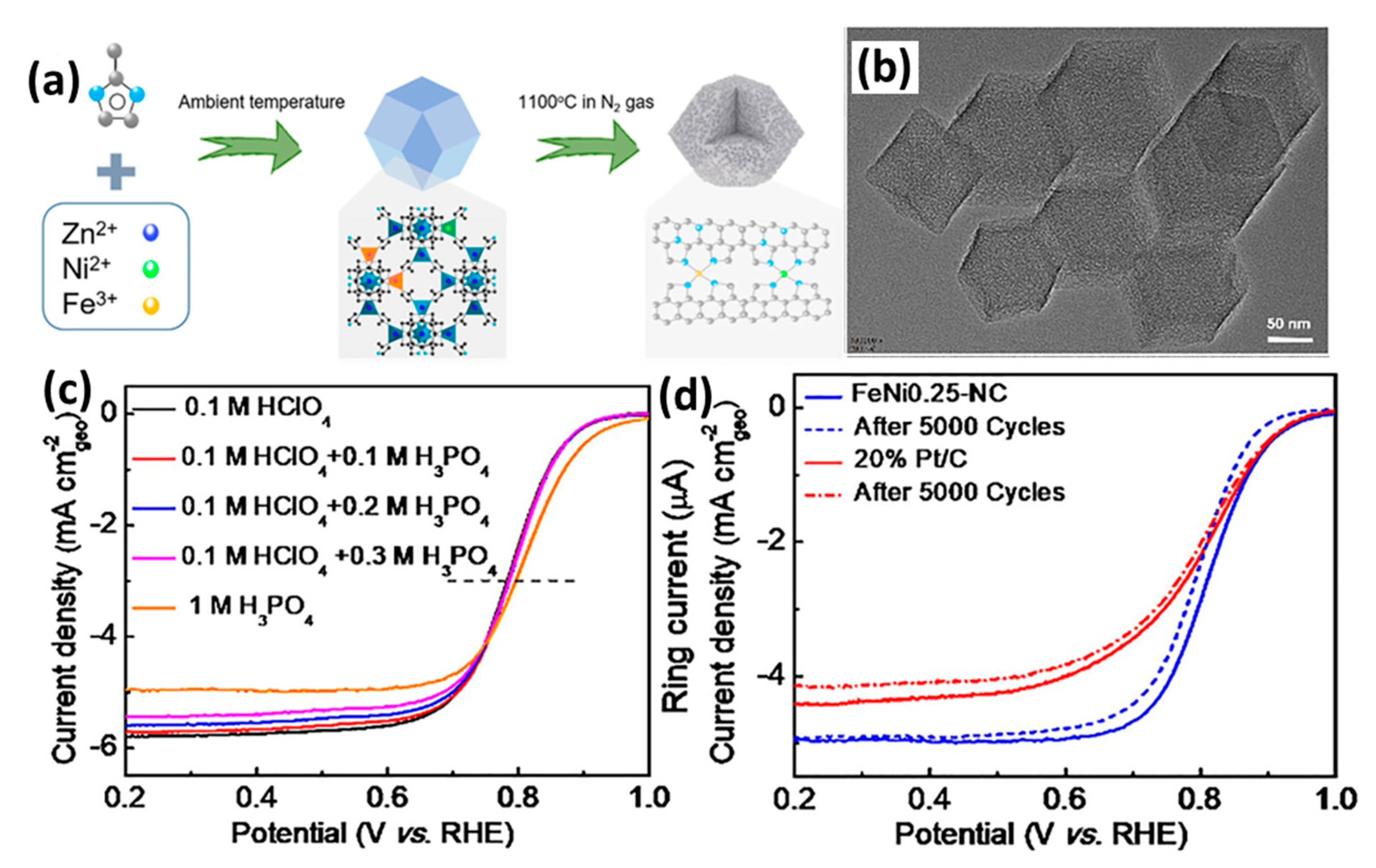 Catalysts 15 00775 g014
