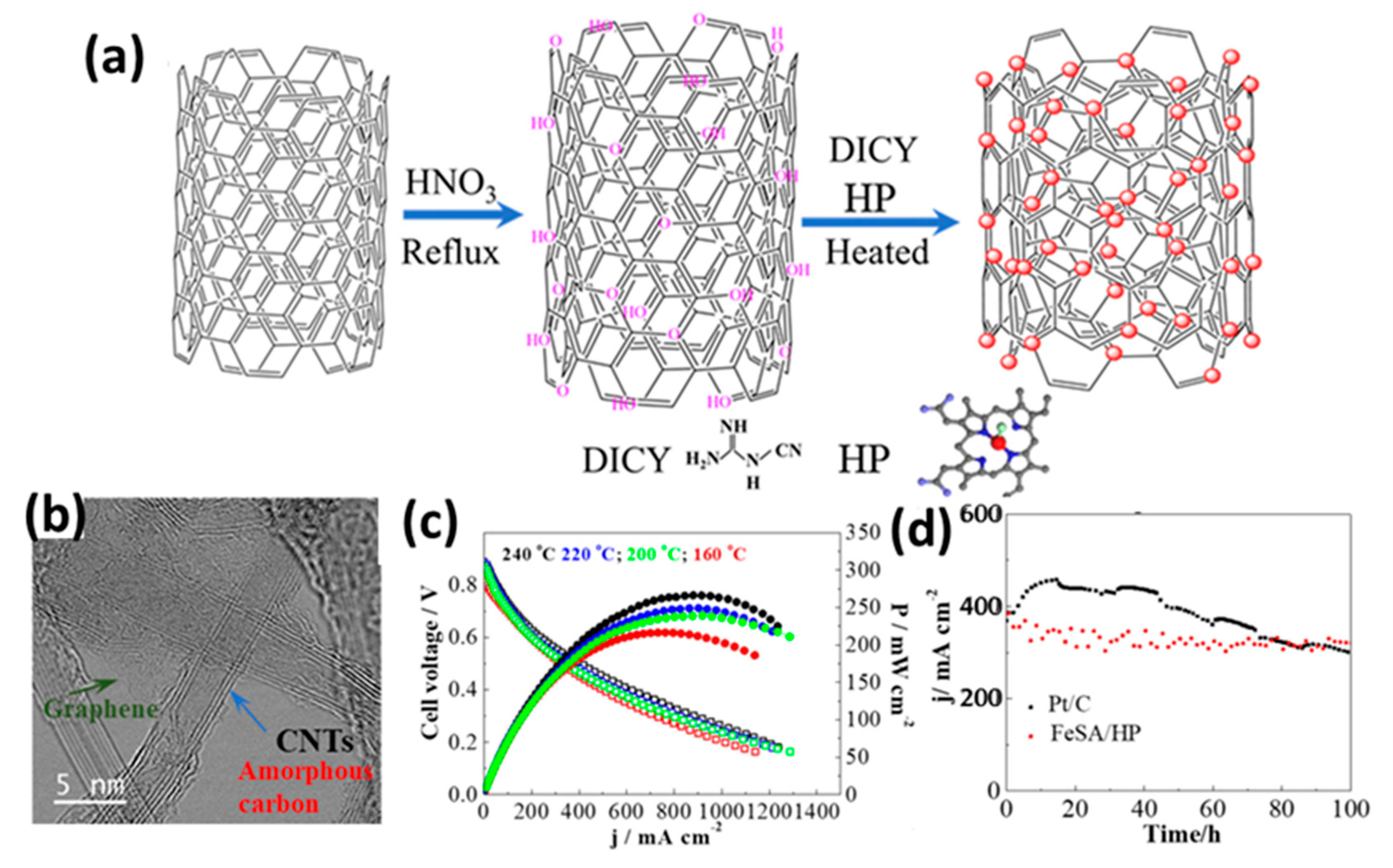 Catalysts 15 00775 g017