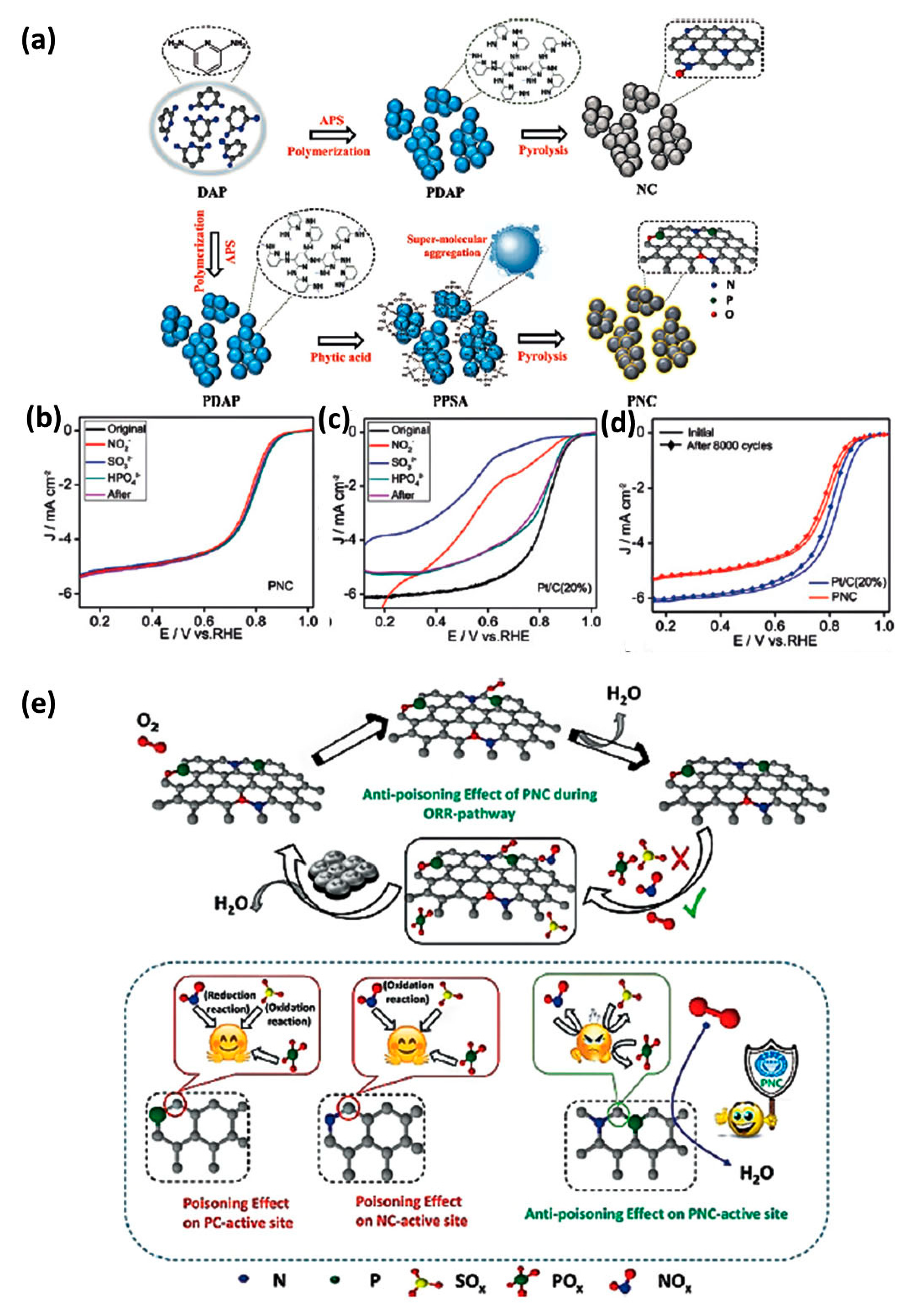 Catalysts 15 00775 g019