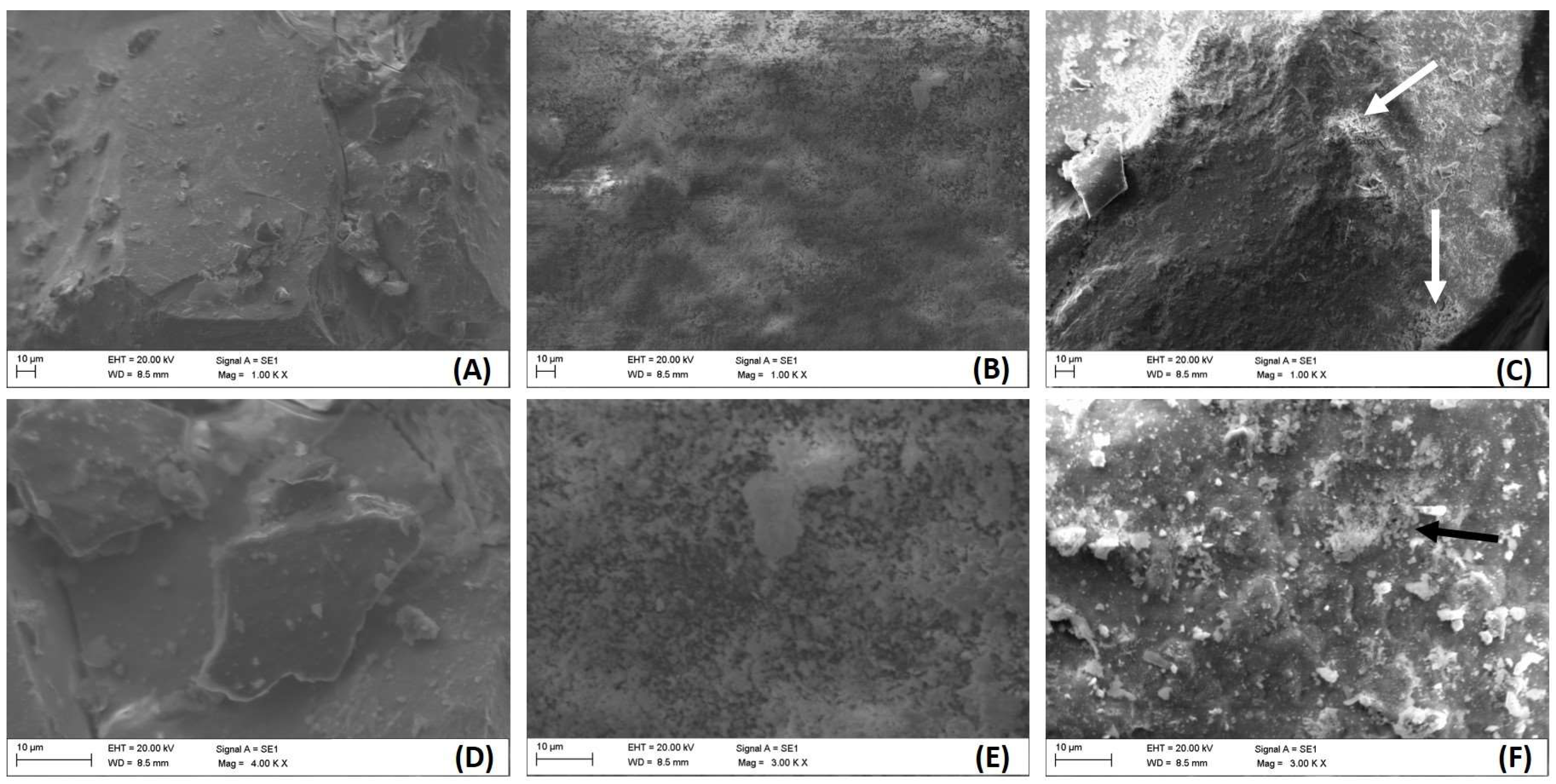 Catalysts 15 00776 g001 Catalysts 15 00776 g001