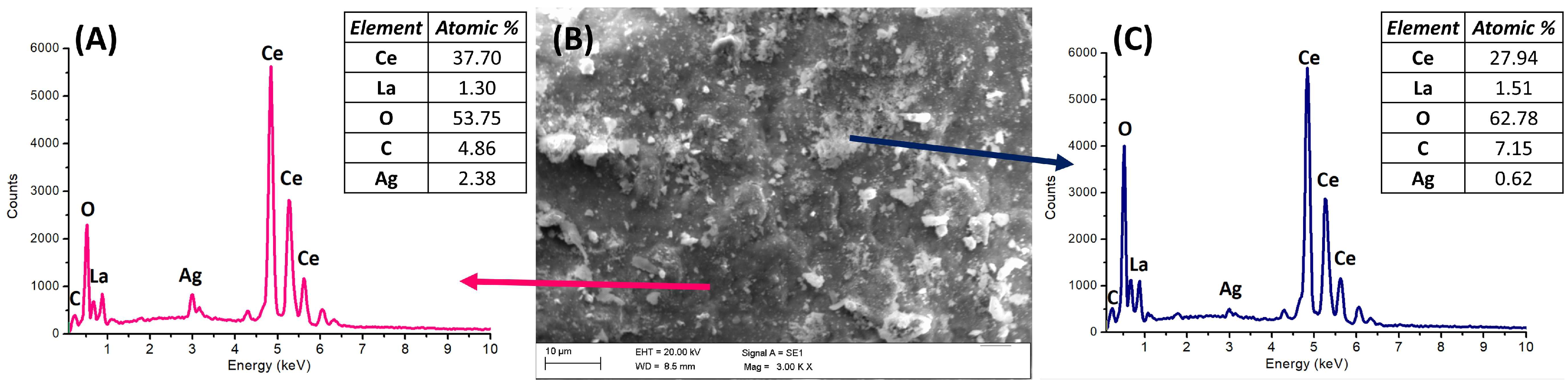 Catalysts 15 00776 g002 Catalysts 15 00776 g002