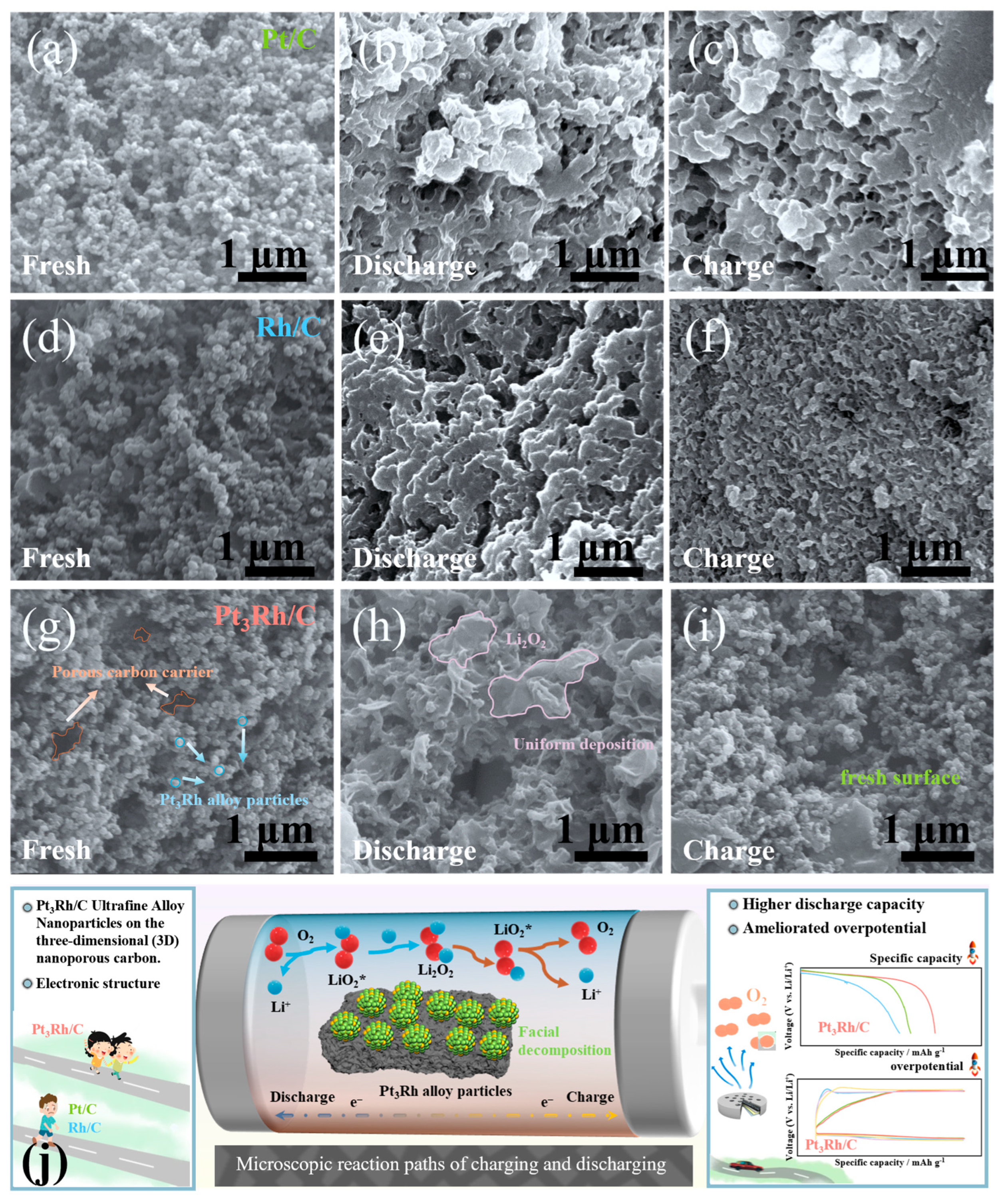 Catalysts 15 00777 g004 Catalysts 15 00777 g004