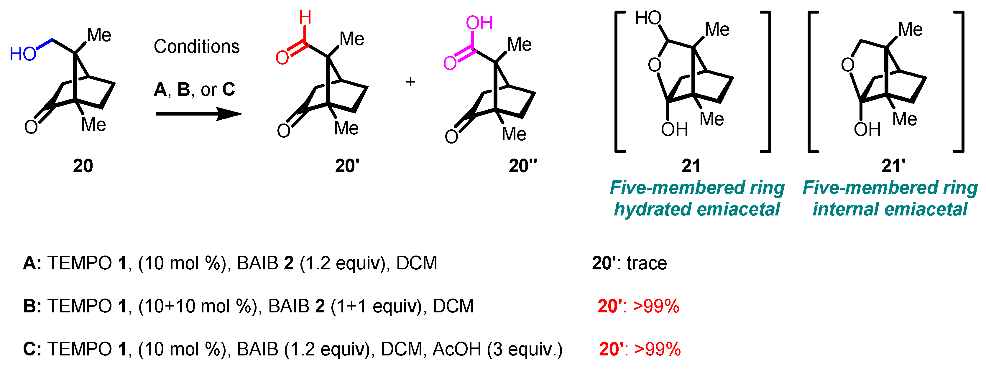 Catalysts 15 00780 sch017 Catalysts 15 00780 sch017