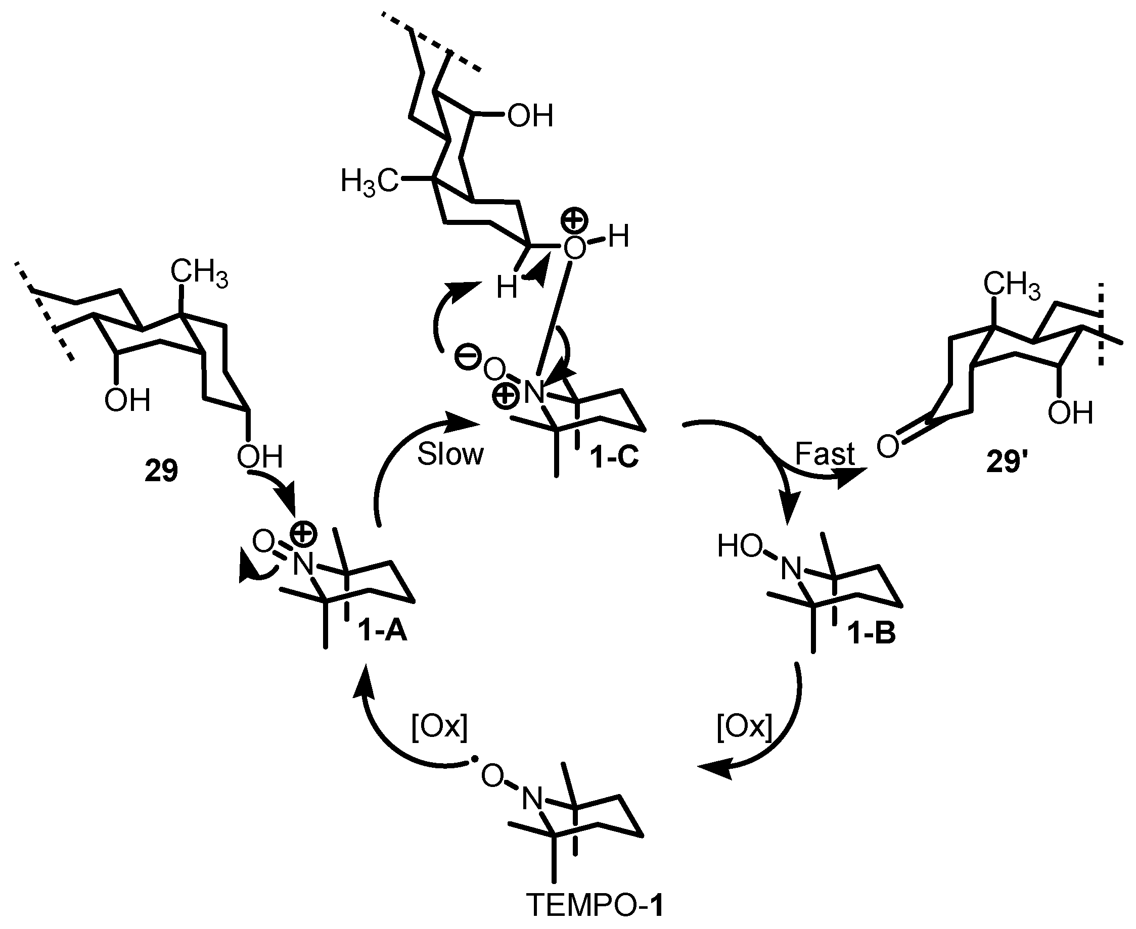 Catalysts 15 00780 sch023 Catalysts 15 00780 sch023
