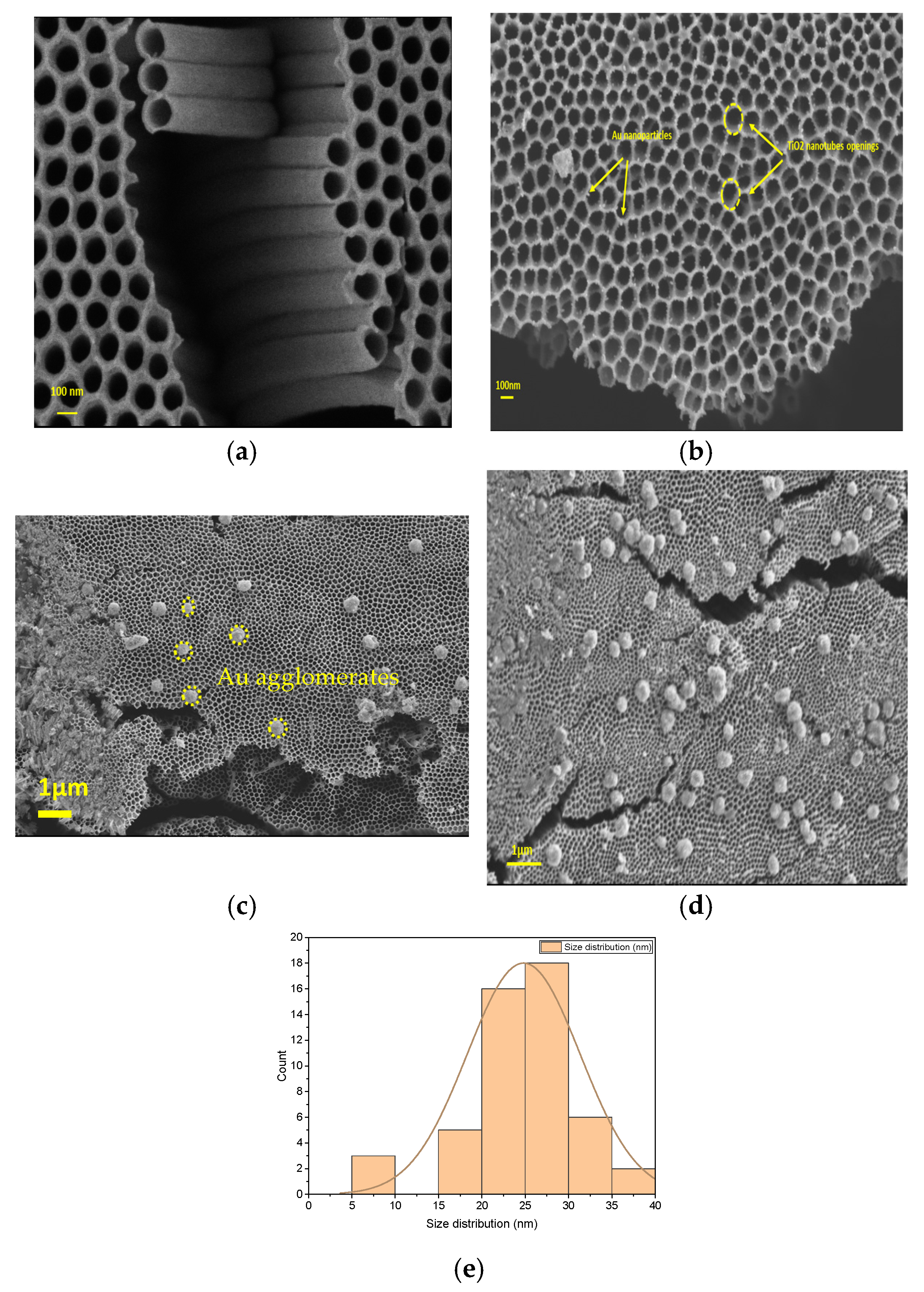 Catalysts 15 00781 g001