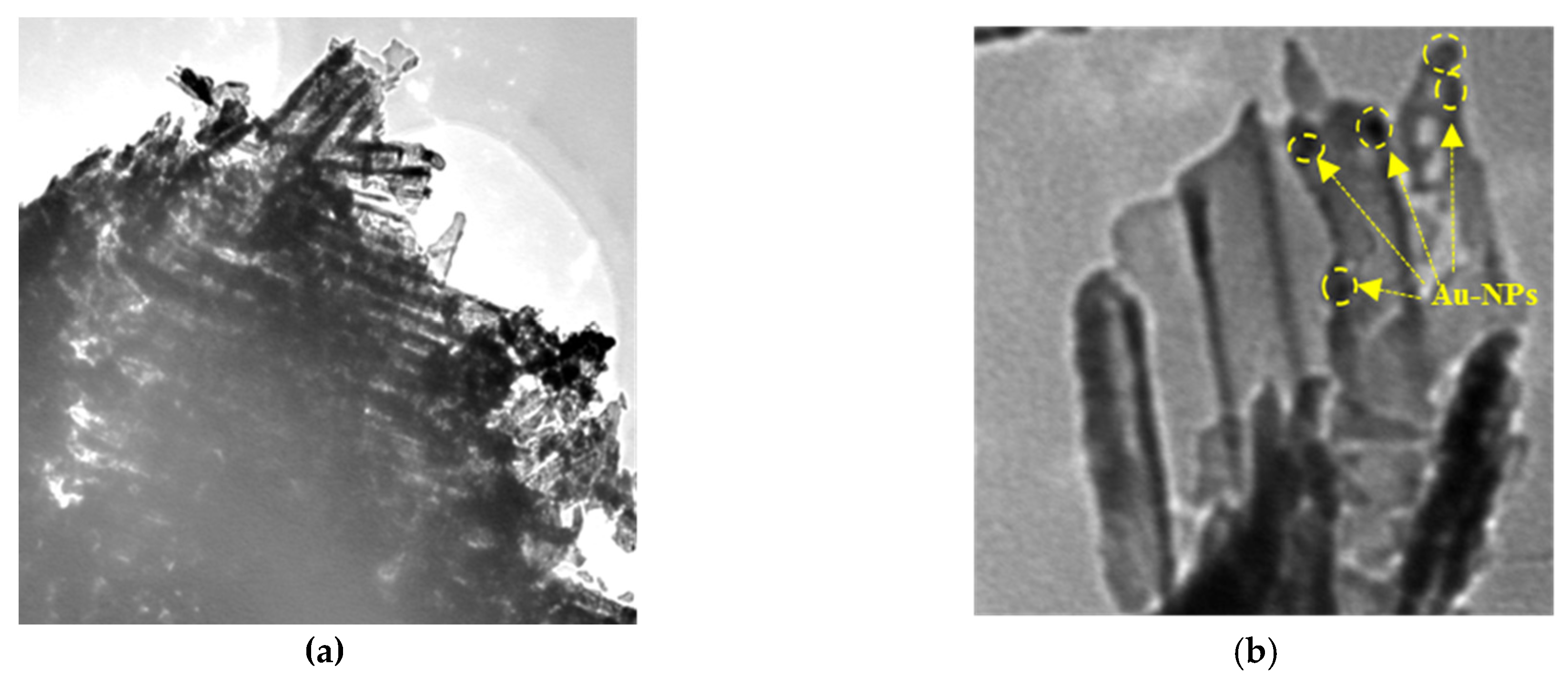 Catalysts 15 00781 g004