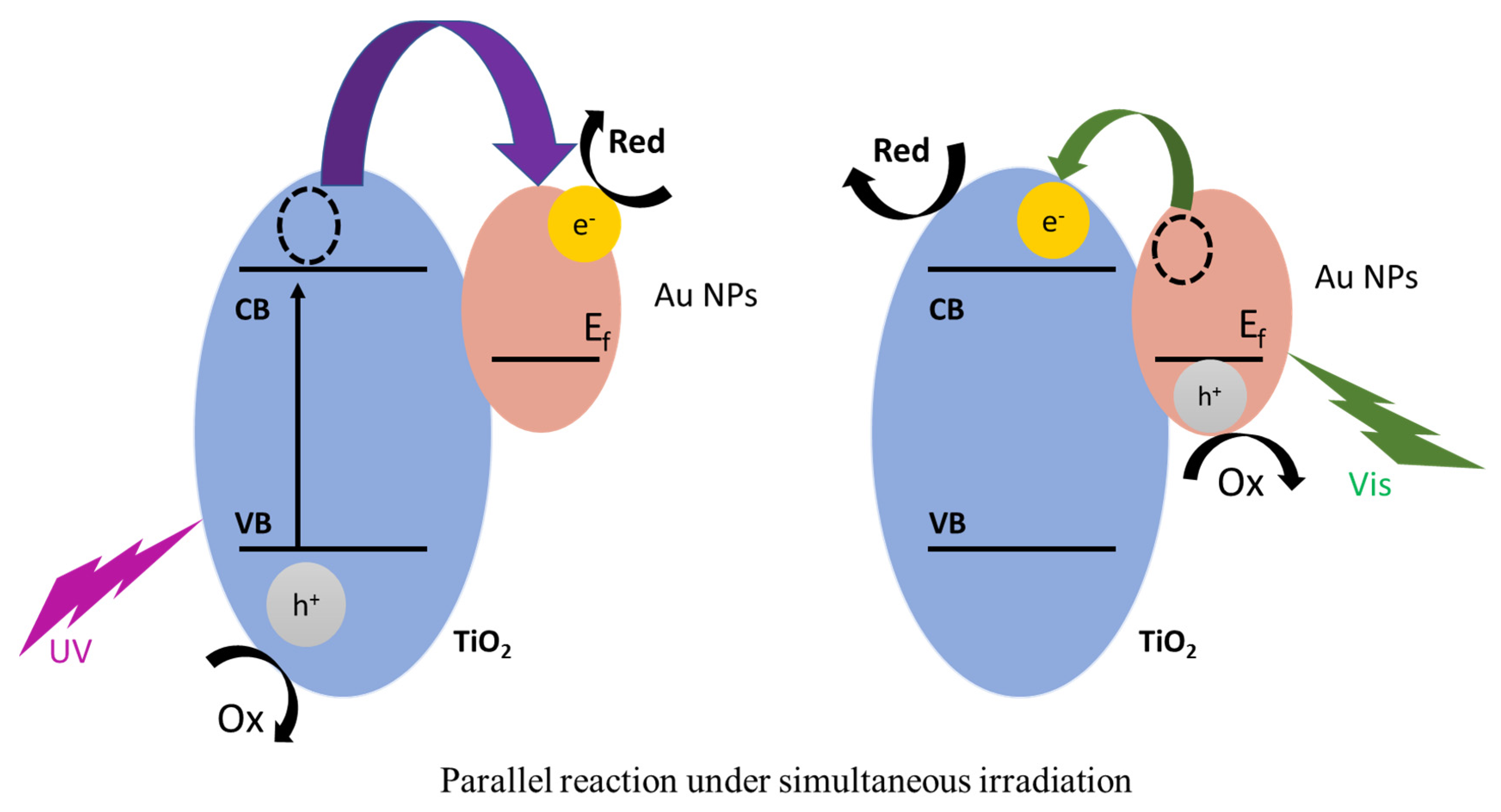 Catalysts 15 00781 g014