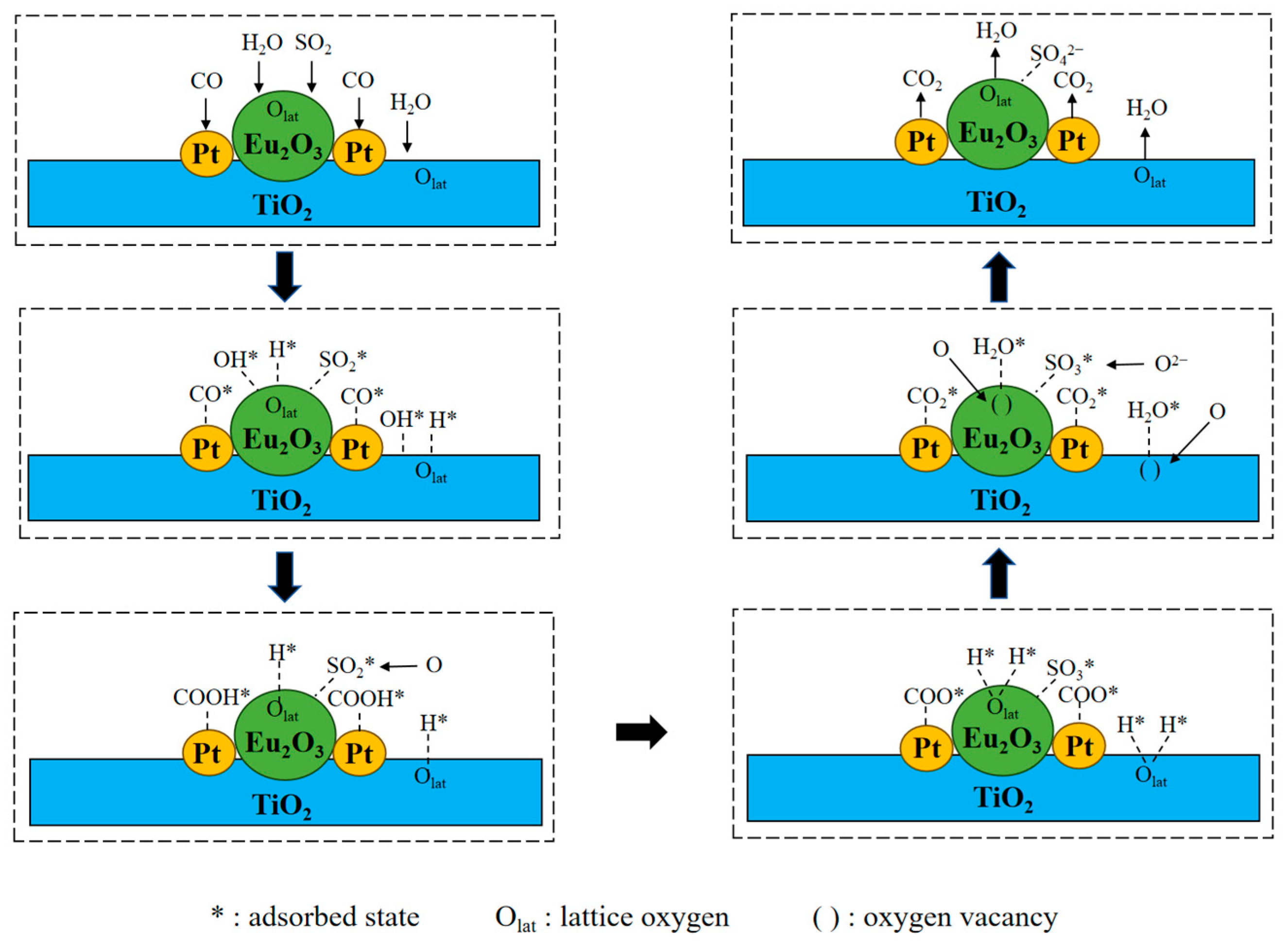 Catalysts 15 00783 g010 Catalysts 15 00783 g010