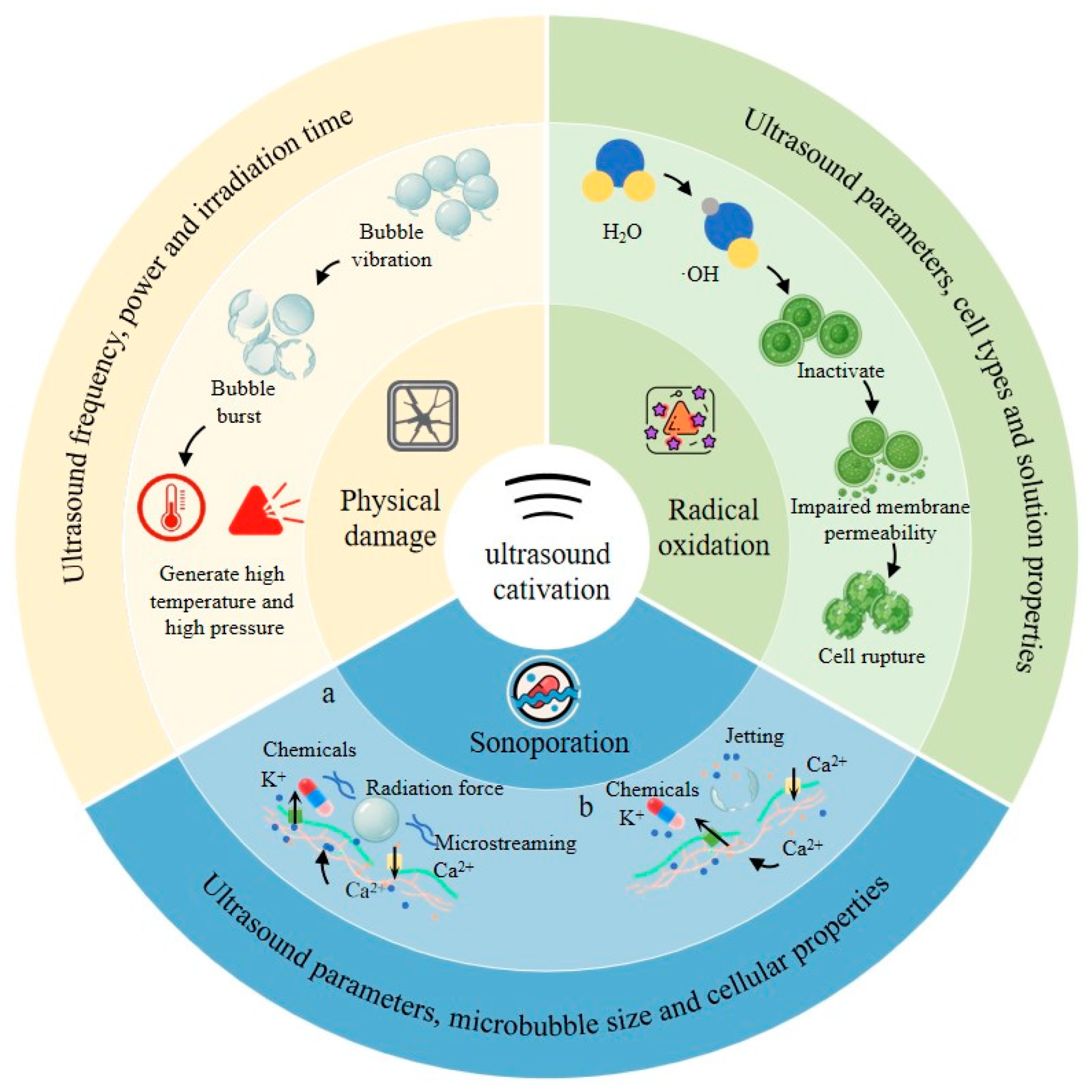 Catalysts 15 00784 g001 Catalysts 15 00784 g001