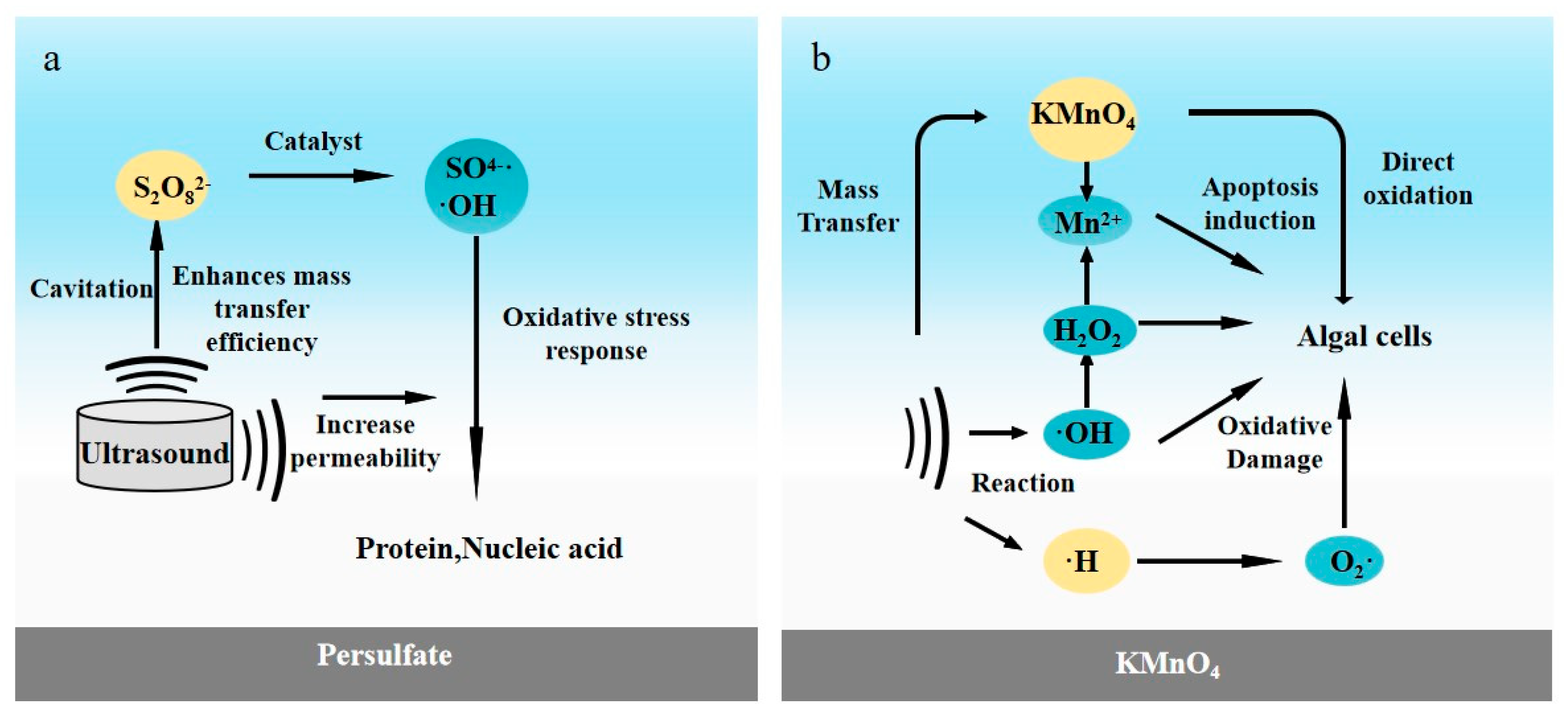 Catalysts 15 00784 g002a Catalysts 15 00784 g002a