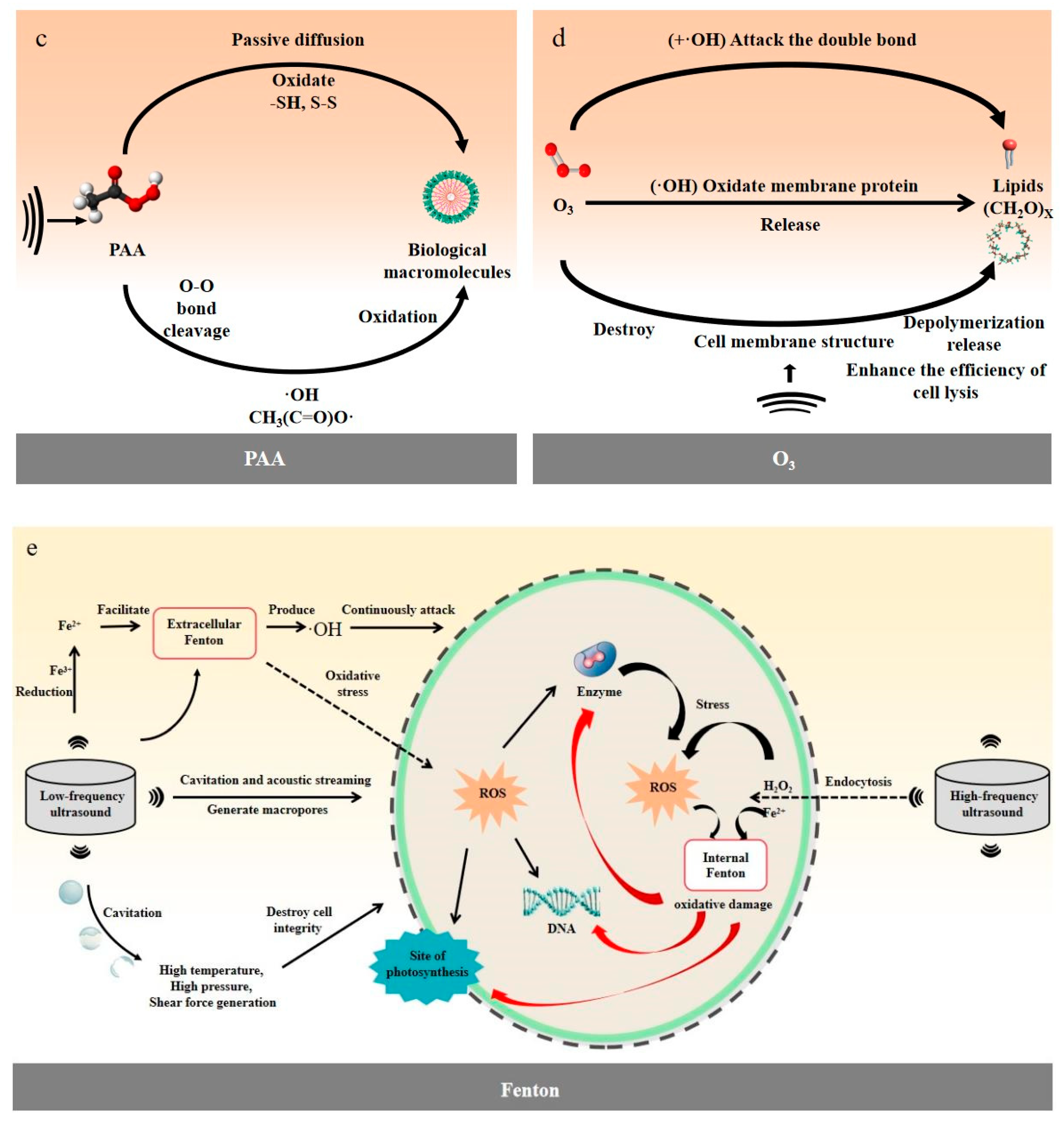 Catalysts 15 00784 g002b Catalysts 15 00784 g002b
