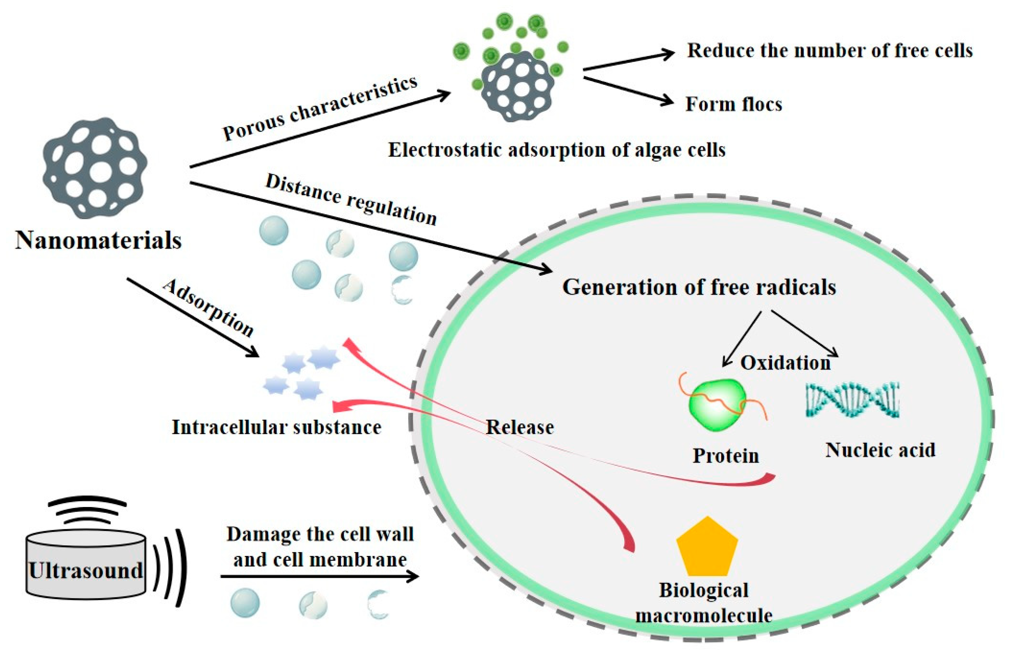 Catalysts 15 00784 g003 Catalysts 15 00784 g003