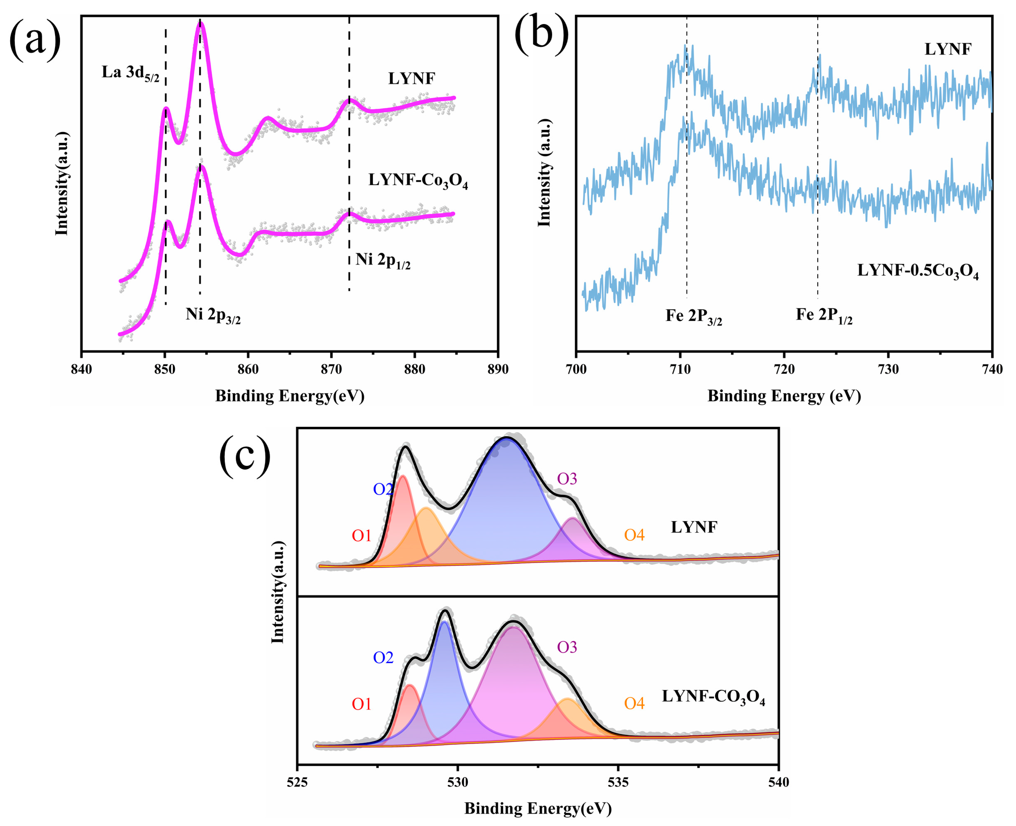 Catalysts 15 00785 g004 Catalysts 15 00785 g004