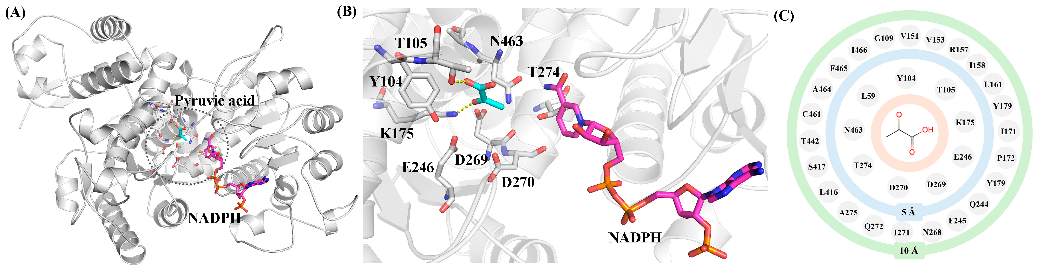 Catalysts 15 00789 g001 Catalysts 15 00789 g001