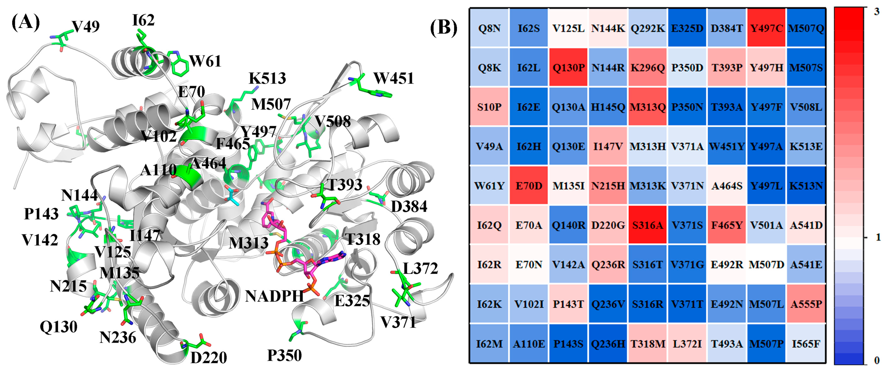 Catalysts 15 00789 g003 Catalysts 15 00789 g003