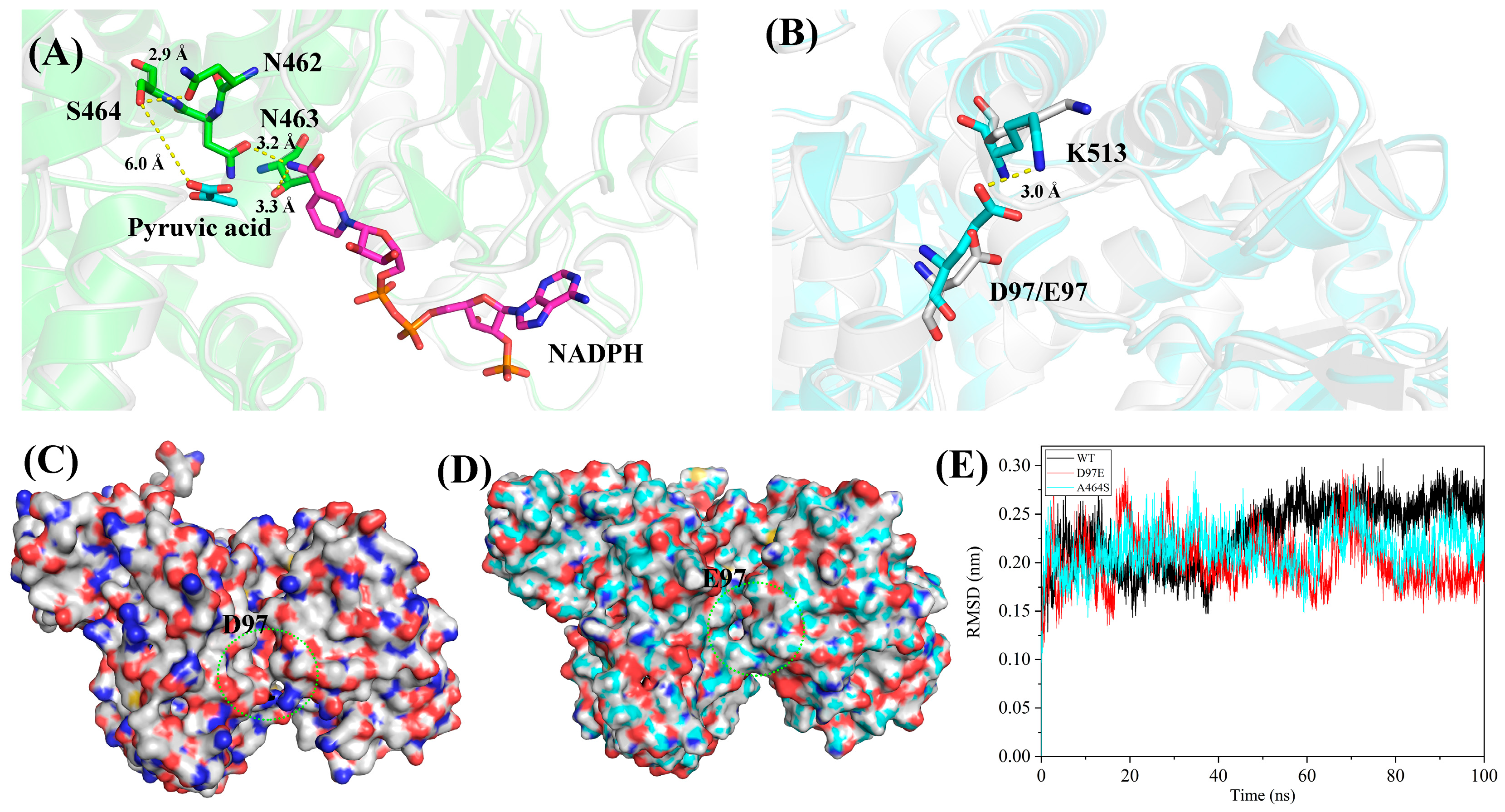 Catalysts 15 00789 g006 Catalysts 15 00789 g006