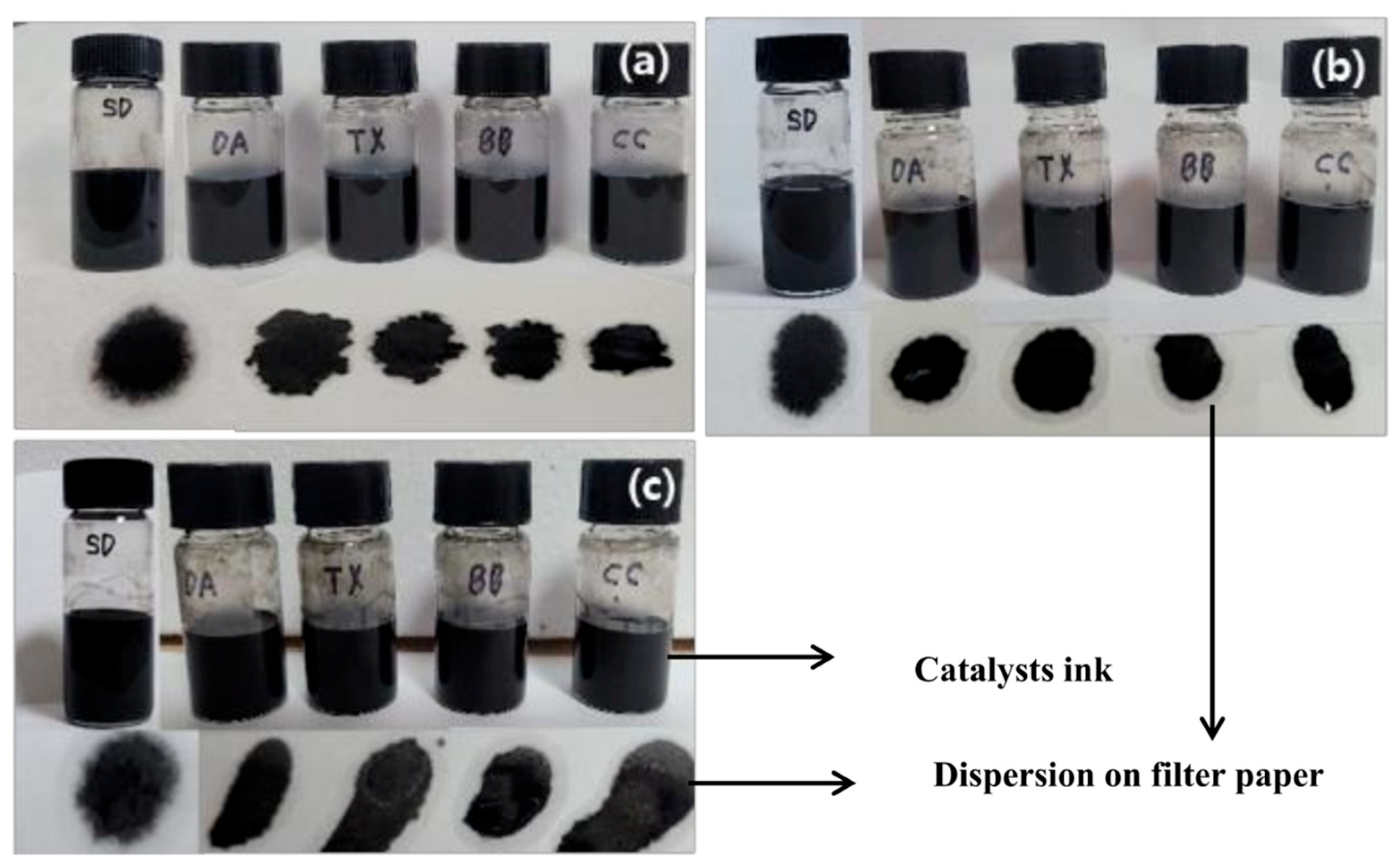 Catalysts 15 00790 g002