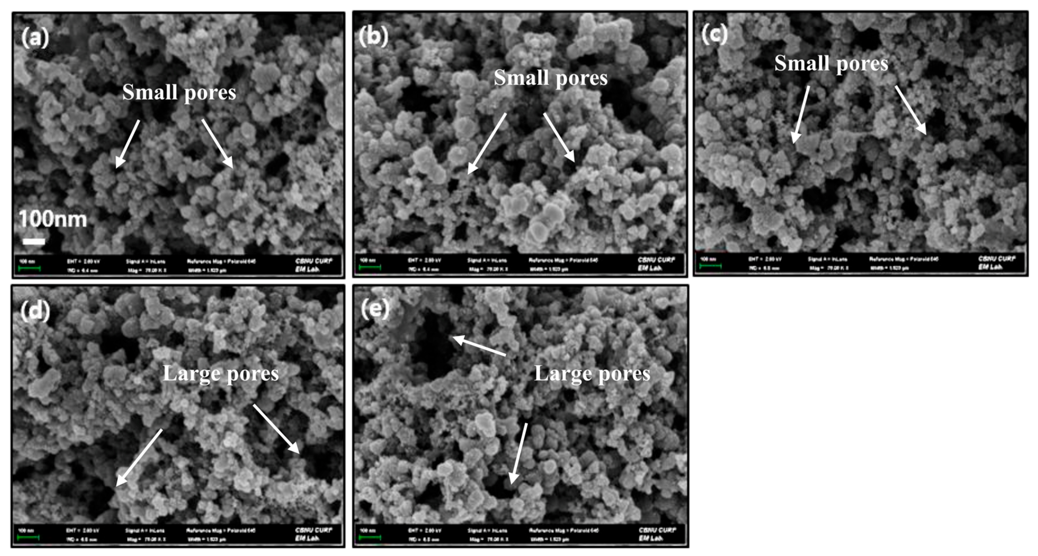 Catalysts 15 00790 g004