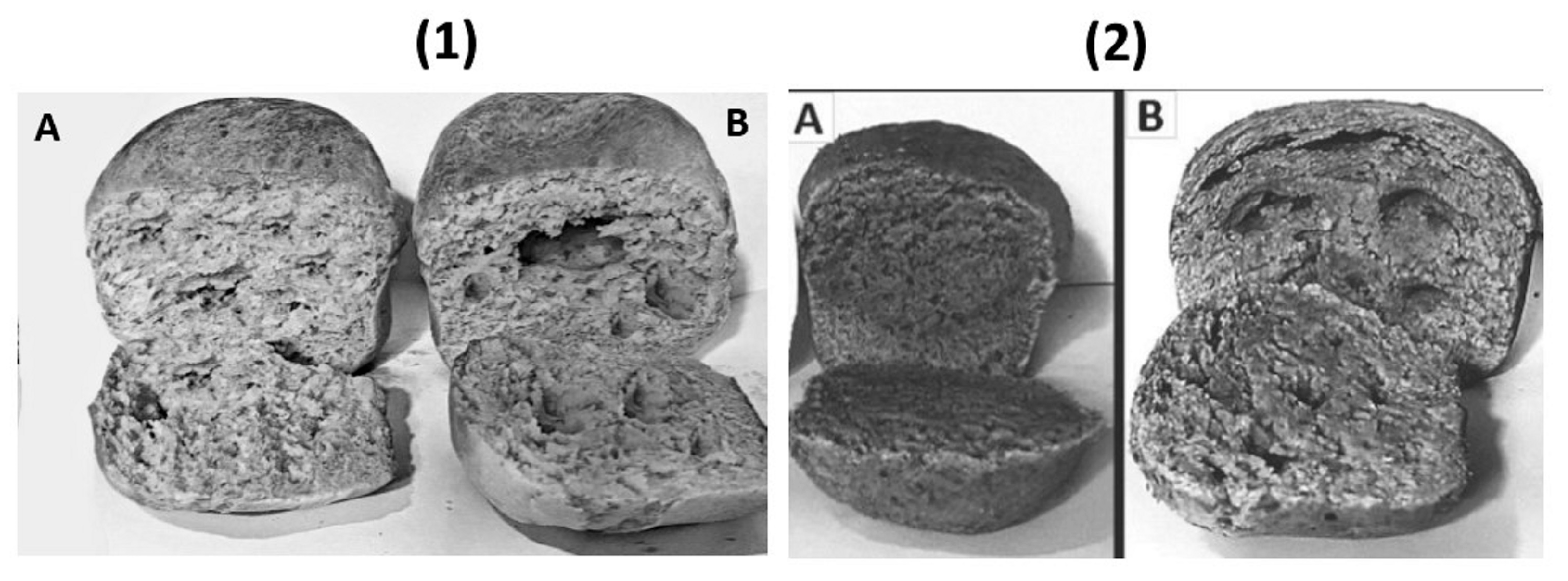 Catalysts 15 00792 g007 Catalysts 15 00792 g007