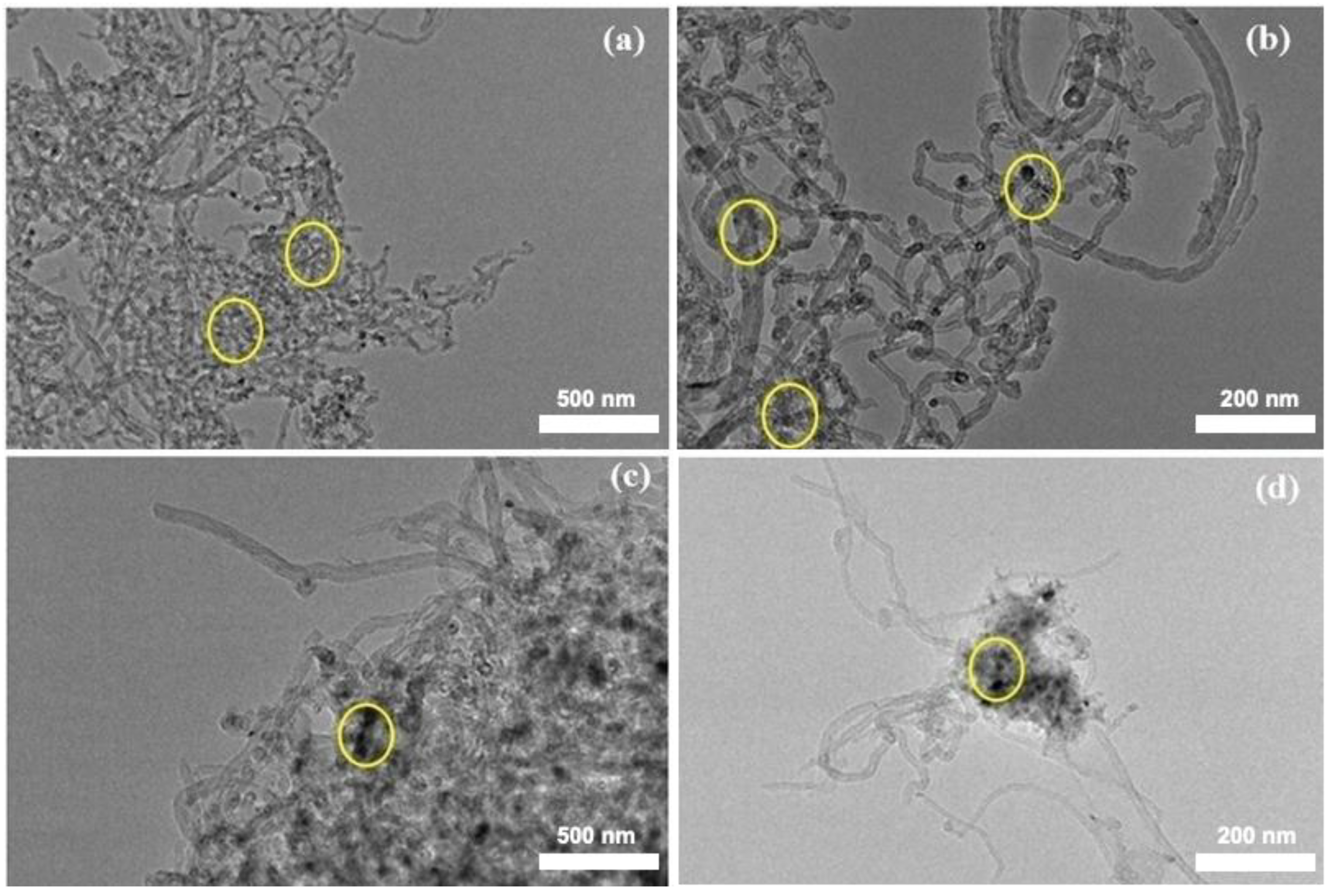 Catalysts 15 00797 g009