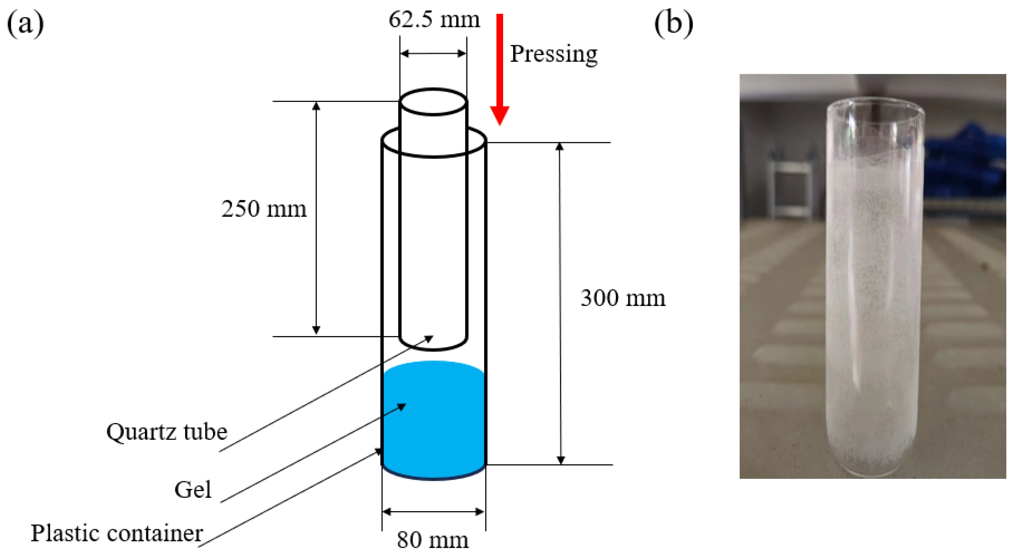 Catalysts 15 00798 g012 Catalysts 15 00798 g012