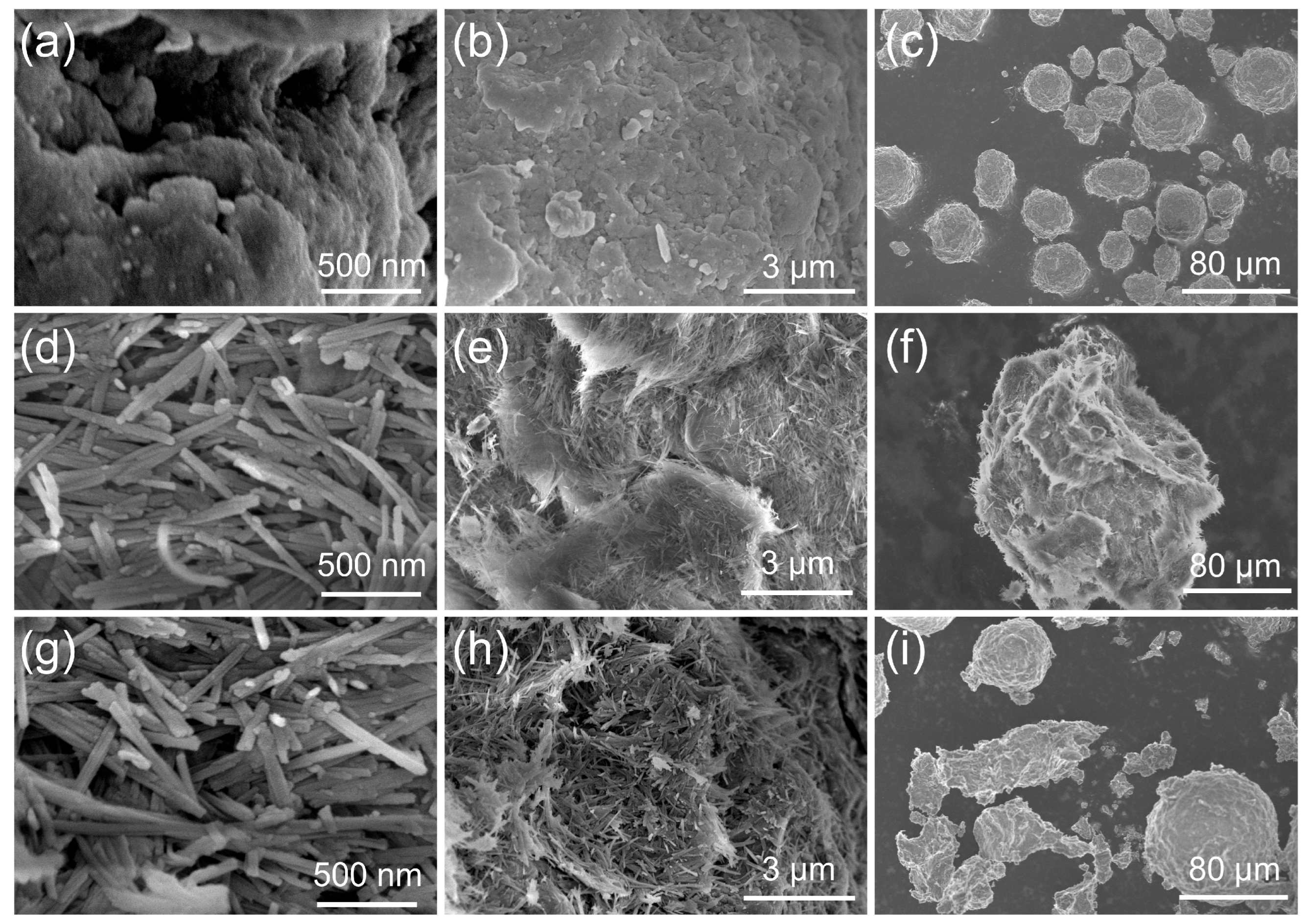 Catalysts 15 00799 g002 Catalysts 15 00799 g002