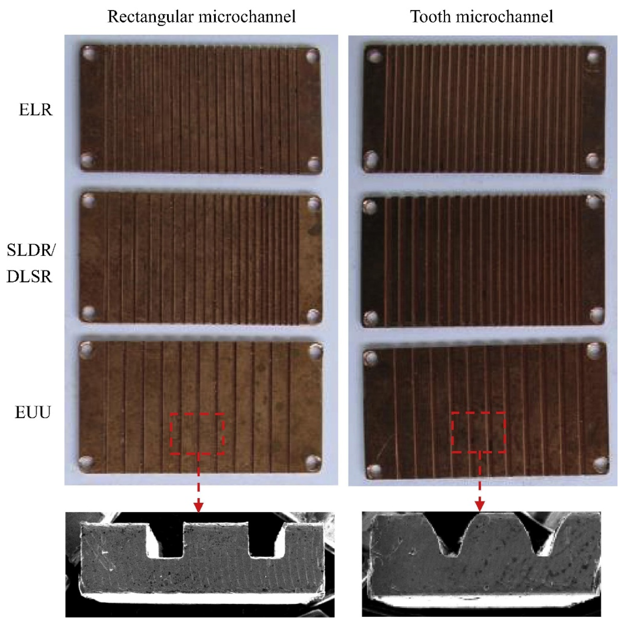 Catalysts 15 00802 g003 Catalysts 15 00802 g003