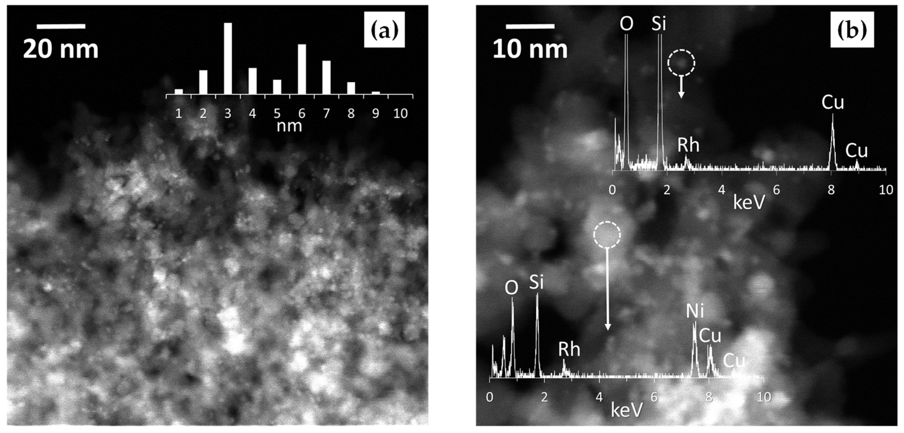 Catalysts 15 00803 g002 Catalysts 15 00803 g002